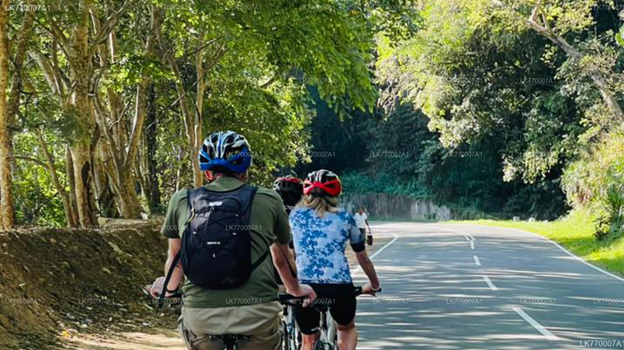Scopri Ella in bicicletta da Ella