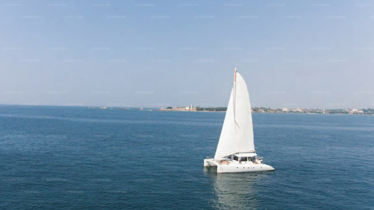 7 Hour whale watching cruise from Trincomalee