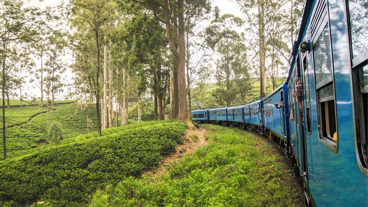 Nanu Oya to Ella Train Tickets (Train № 1041 "Ella Odyssey")