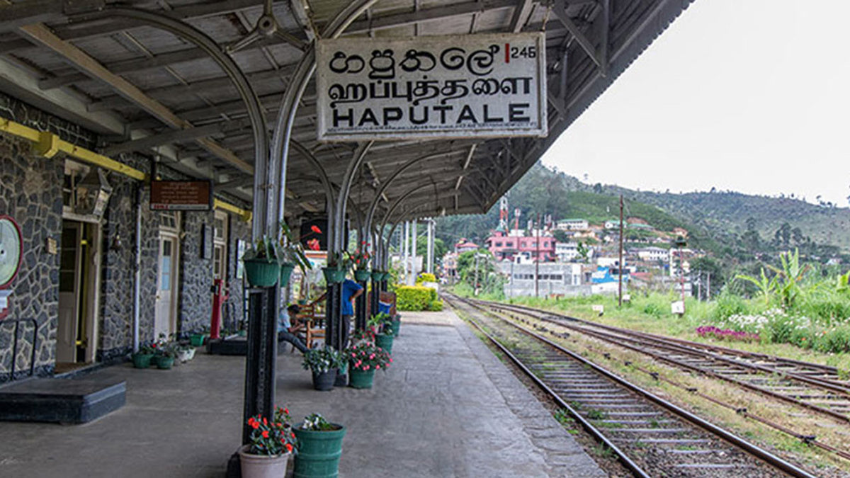 Nanu Oya to Ella Train Tickets (Train № 1041 "Ella Odyssey")