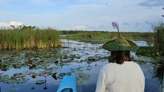 Birdwatching Boat Tour in Habarana Lake