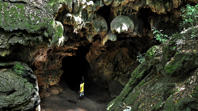 Wavulpane Cave