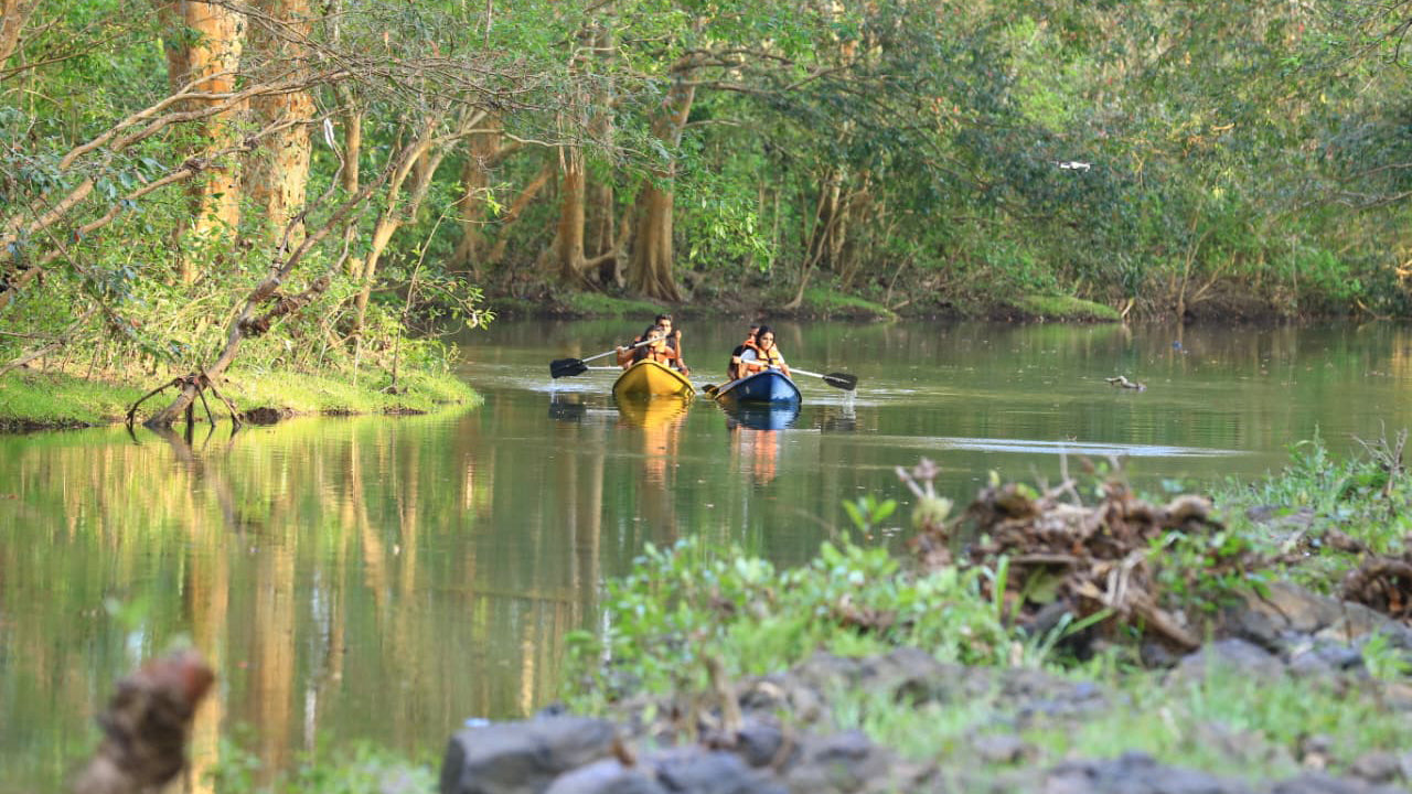 River Kayaking from Udawalawe
