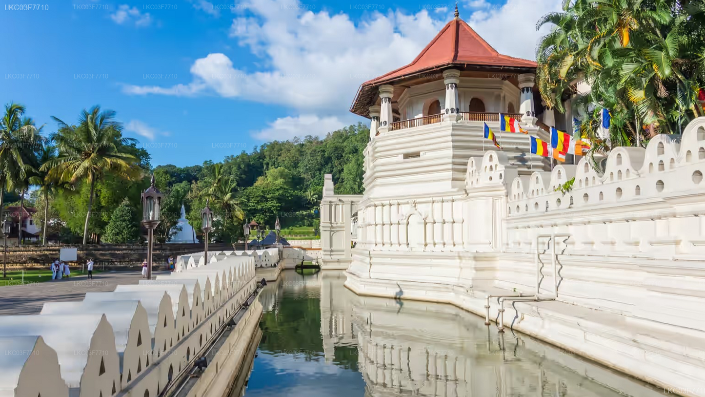 Colombo to Kandy Private Transfer with Sightseeing Stops