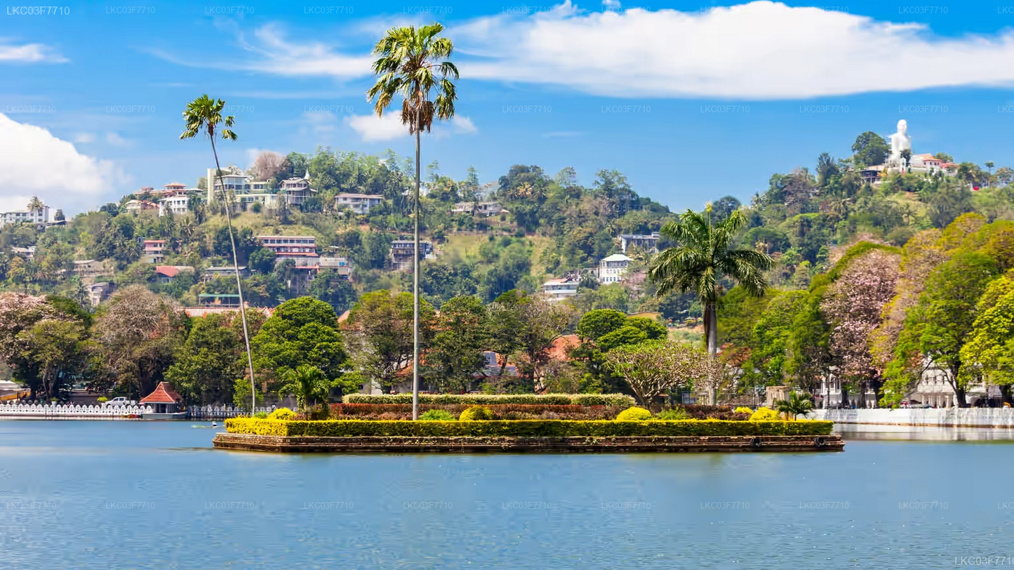 Colombo to Kandy Private Transfer with Sightseeing Stops