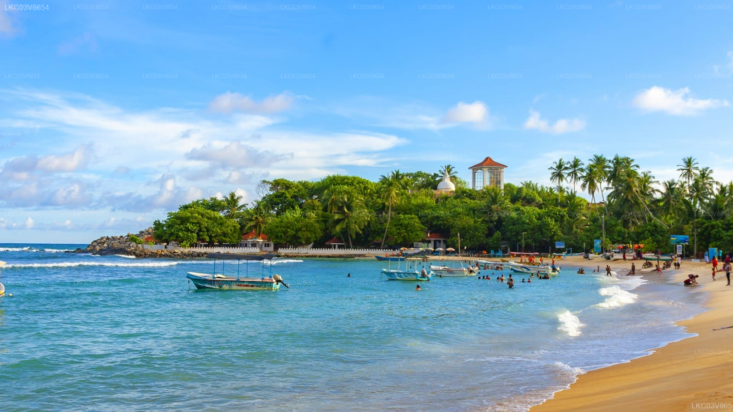 Kumana Safari and Heritage Full Day Tour from Arugam Bay