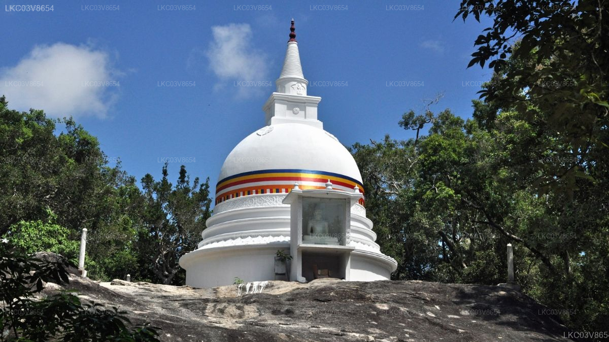 Kumana Safari and Heritage Full Day Tour from Arugam Bay
