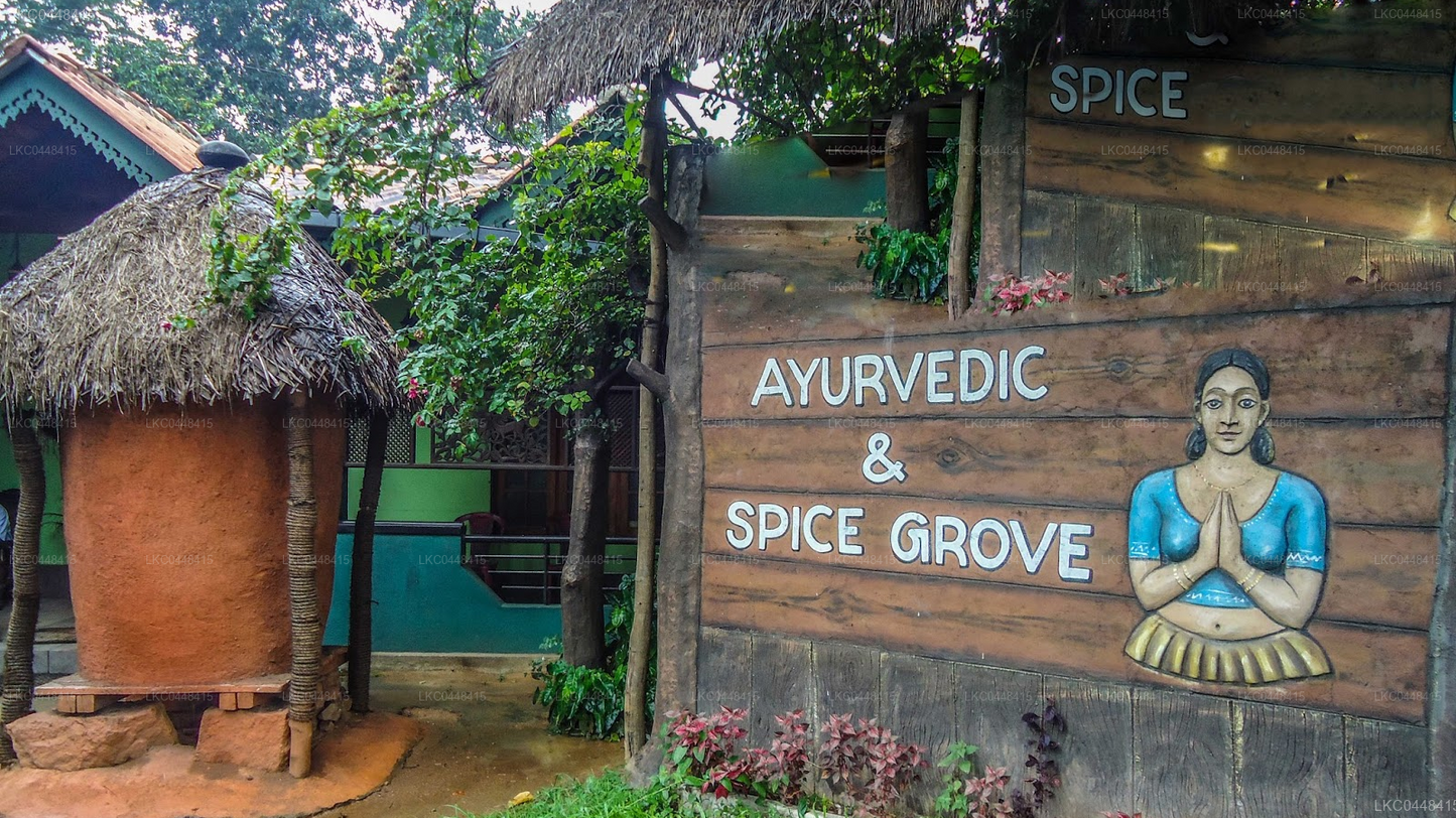 Sigiriya to Kandy Private Transfer with Sightseeing Stops