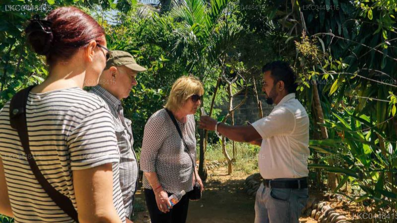 Sigiriya to Kandy Private Transfer with Sightseeing Stops
