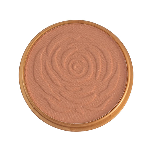 Janet Fairness Finish Powder N Blush Medium (16g)