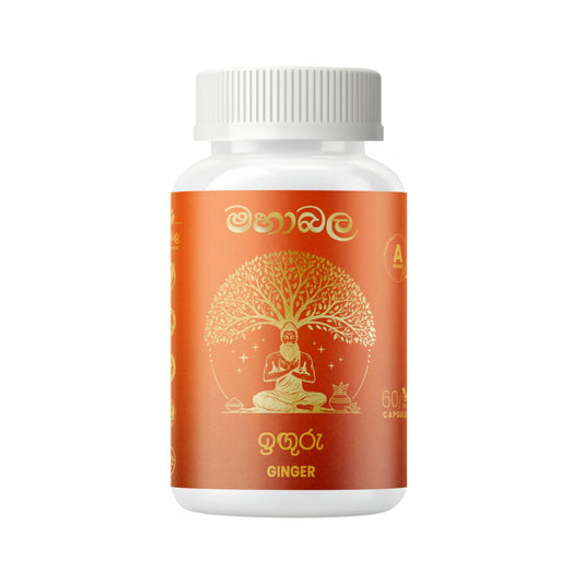 Mahabala Ginger (60 Capsules)