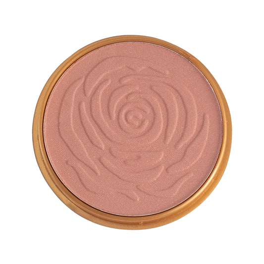 Janet Fairness Finish Powder N Blush Light (16g)