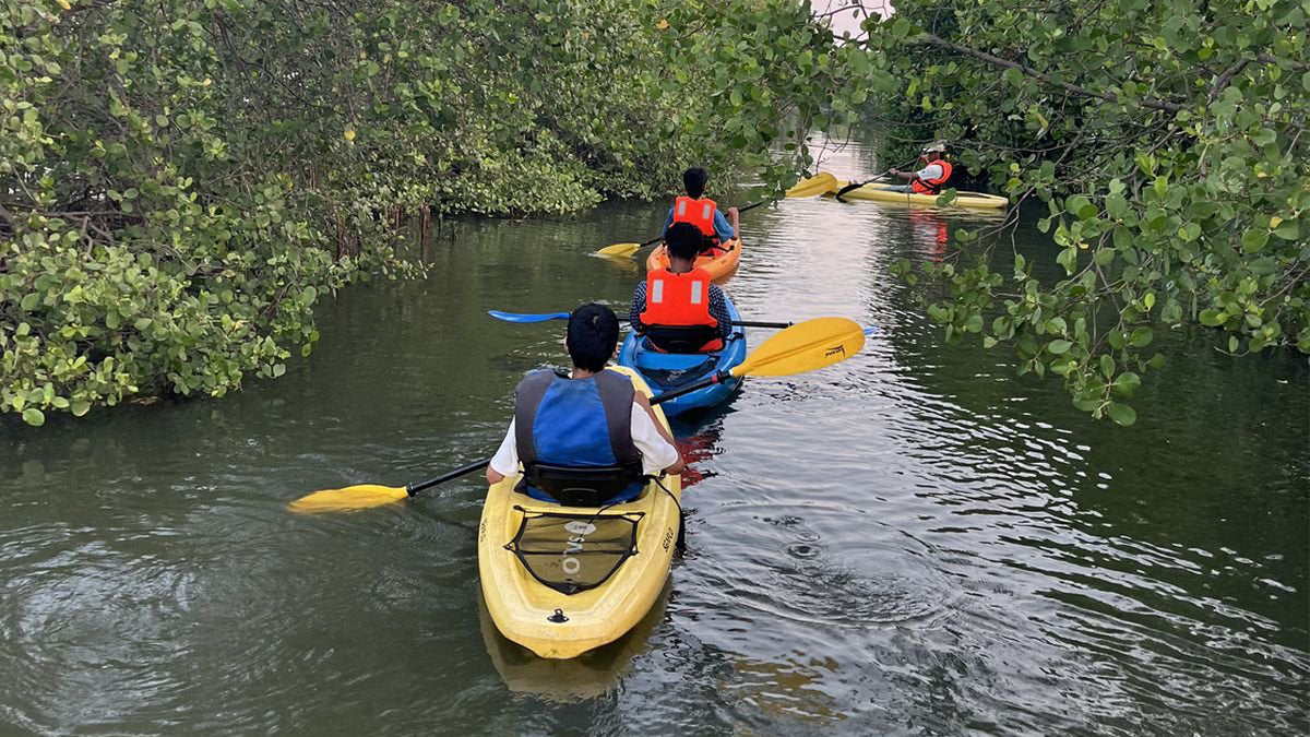 Lake Kayaking from Ambalangoda