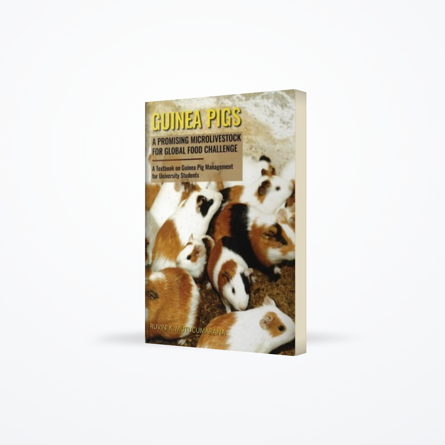 Guinea Pigs A Promising Microlivestock For Global Food Challenge