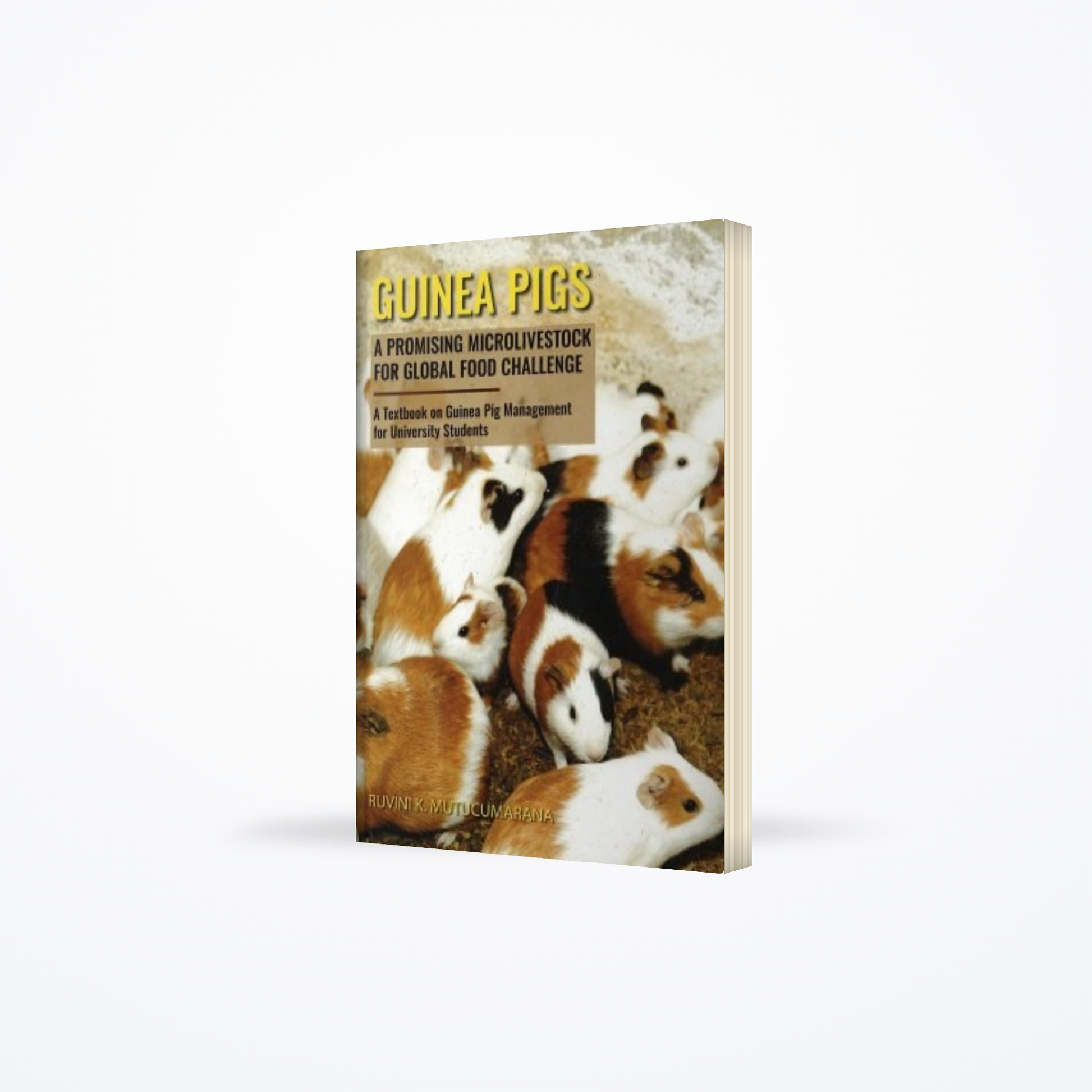 Guinea Pigs A Promising Microlivestock For Global Food Challenge