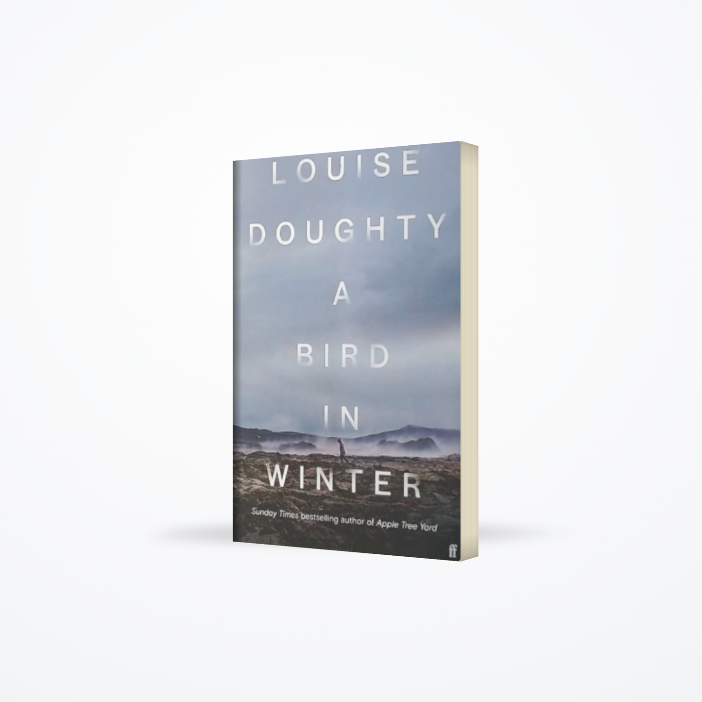 A Bird in Winter Hc