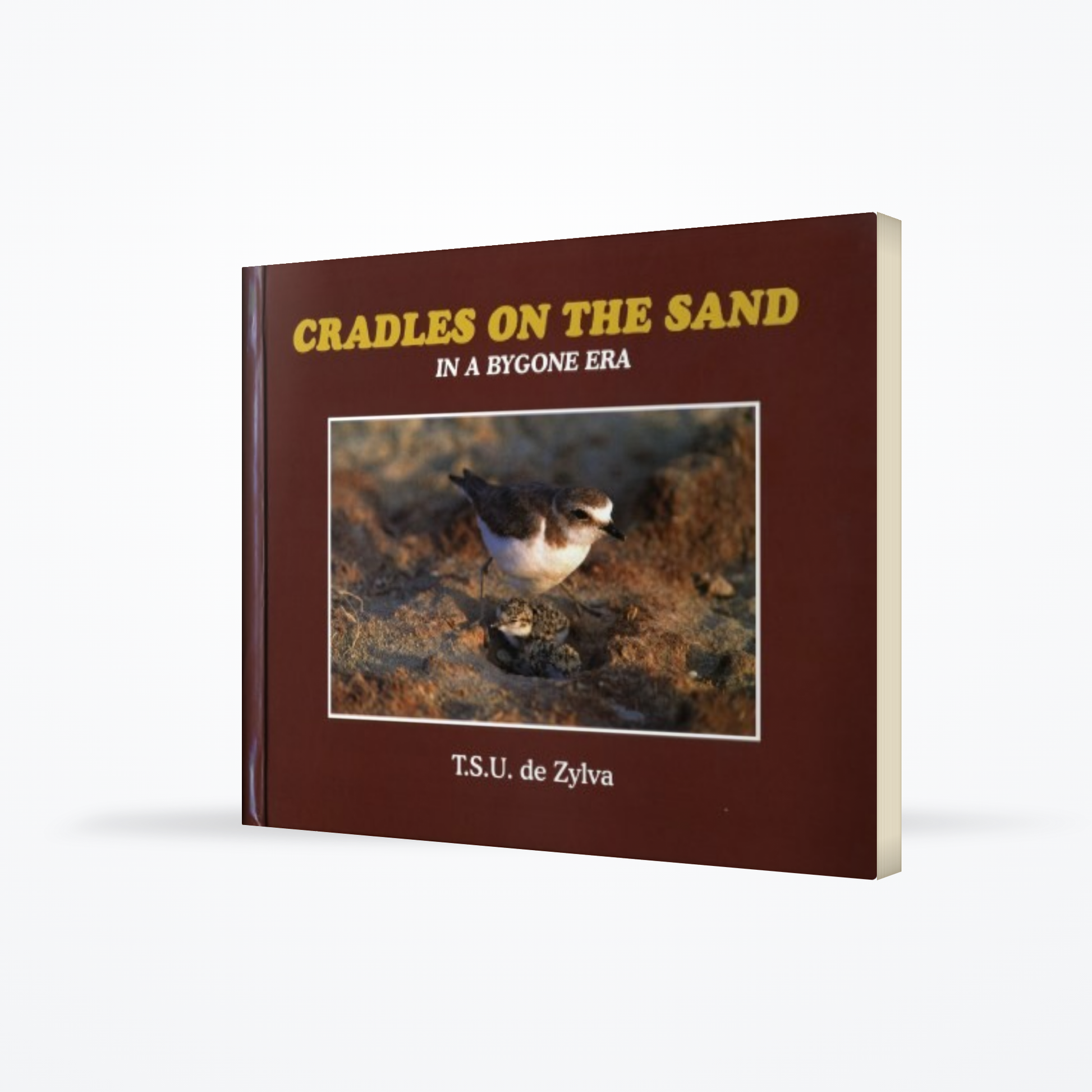 Cradles on the Sand : In a Bygone Era