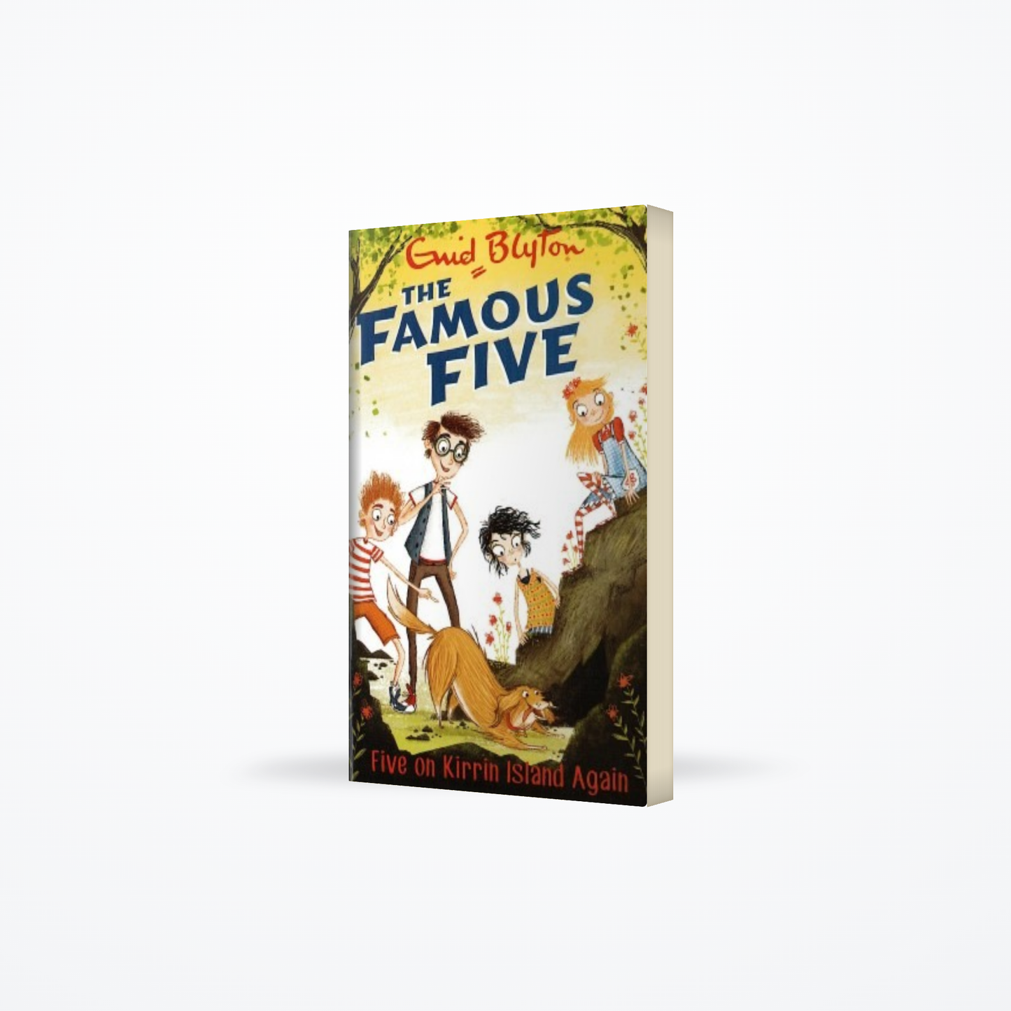 Famous Five : 06 Five On Kirrin Island Again
