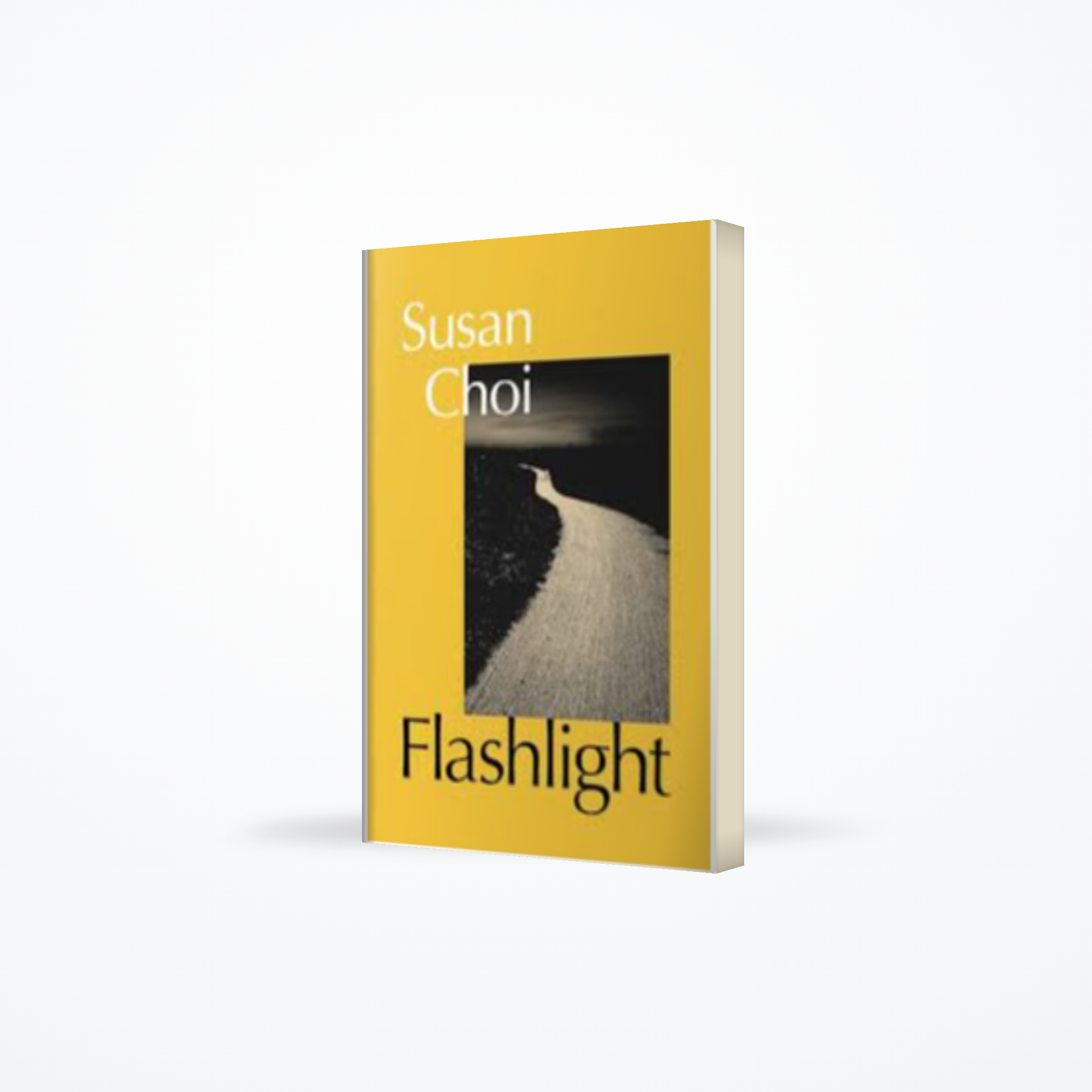 Flashlights
