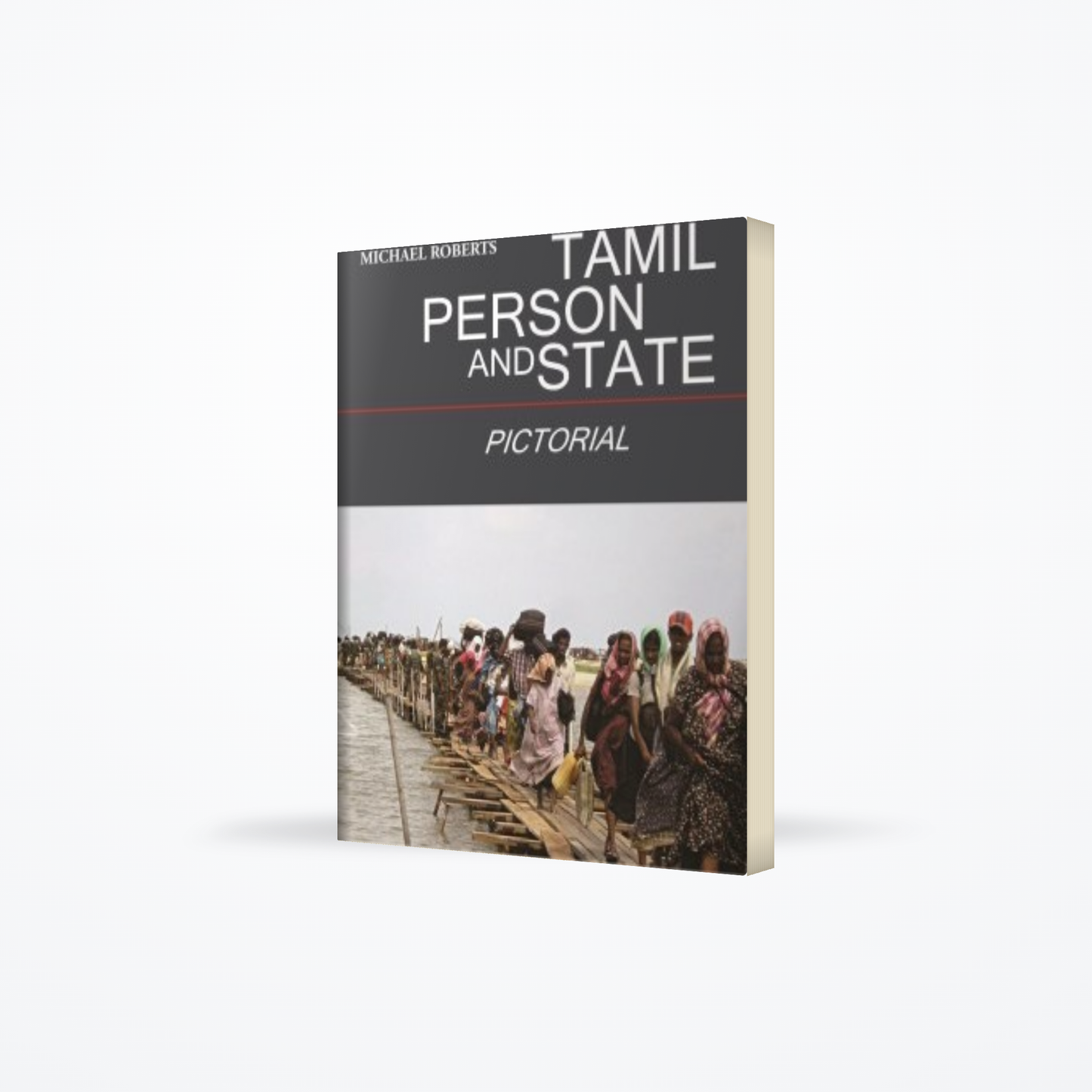 Tamil Person and State – Pictorial
