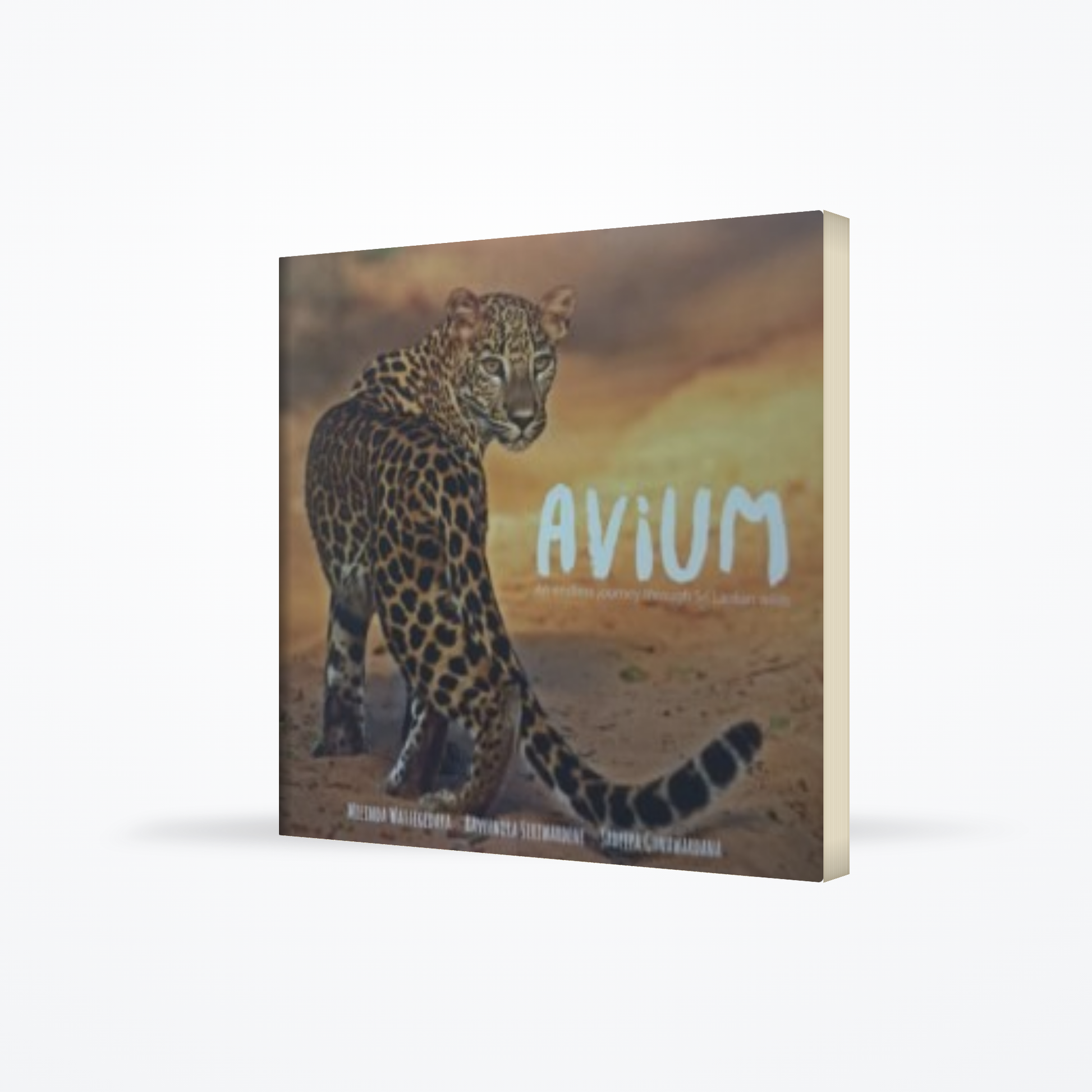 Avium : An endless journey through Sri lanka wild