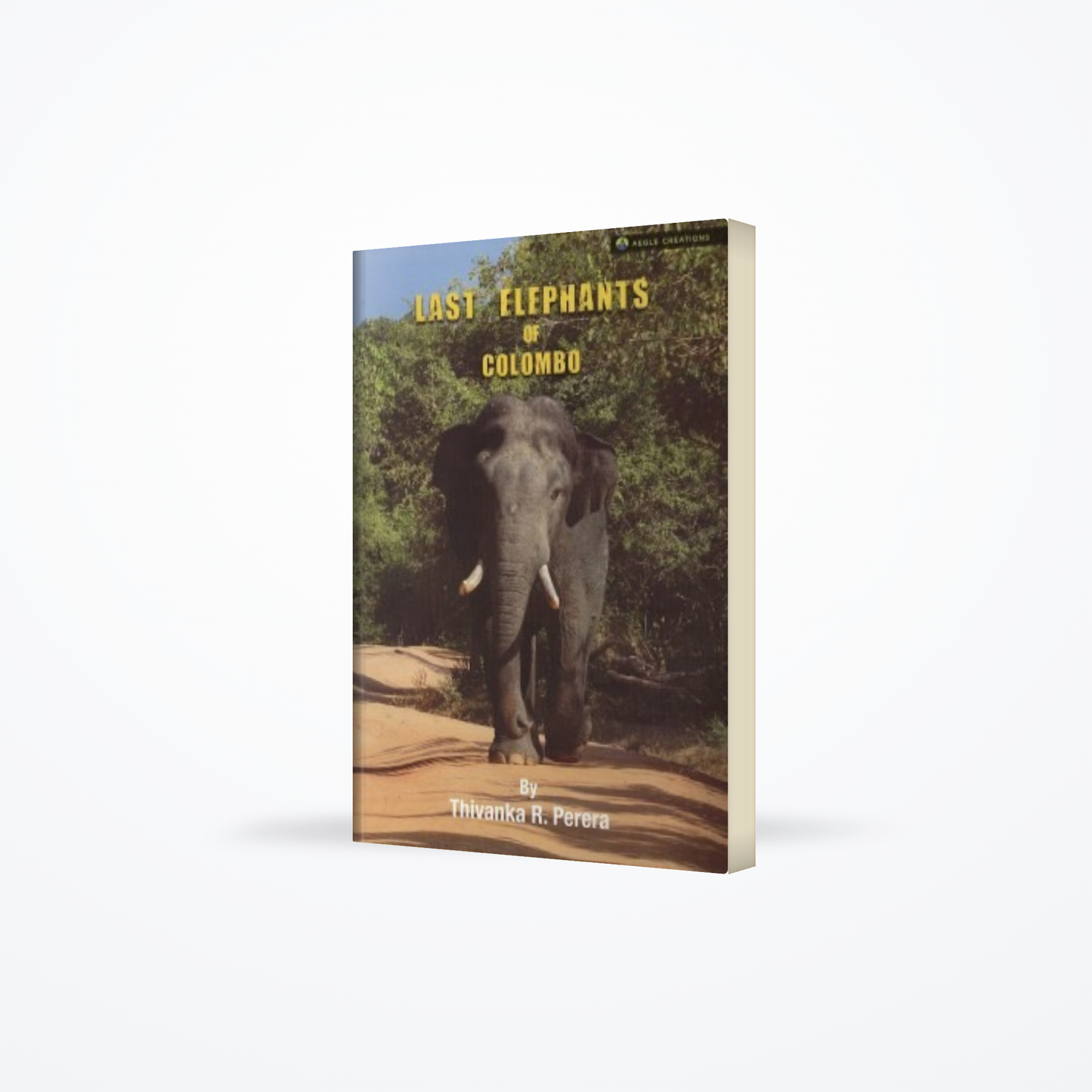 Last Elephants Of Colombo