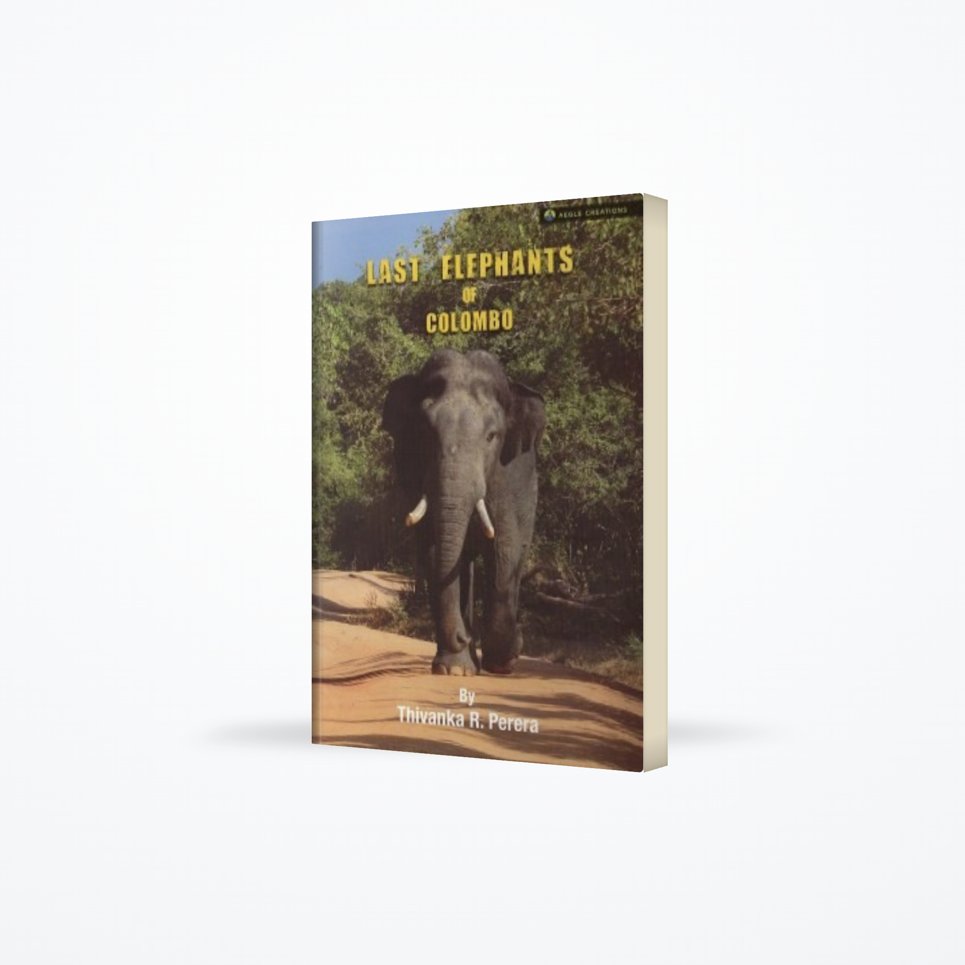Last Elephants Of Colombo