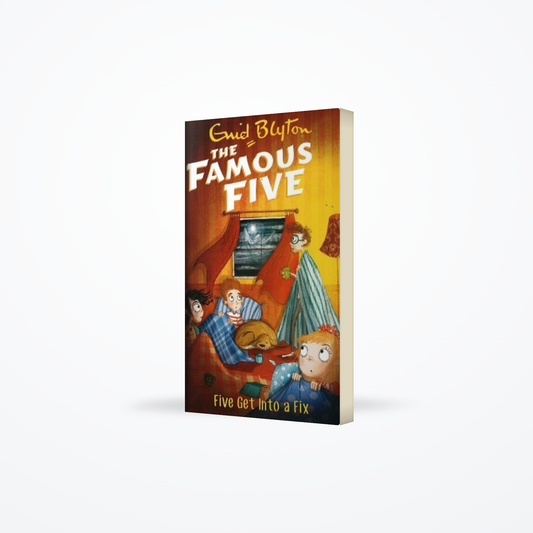 Famous Five : 17  Five Get Into A Fix