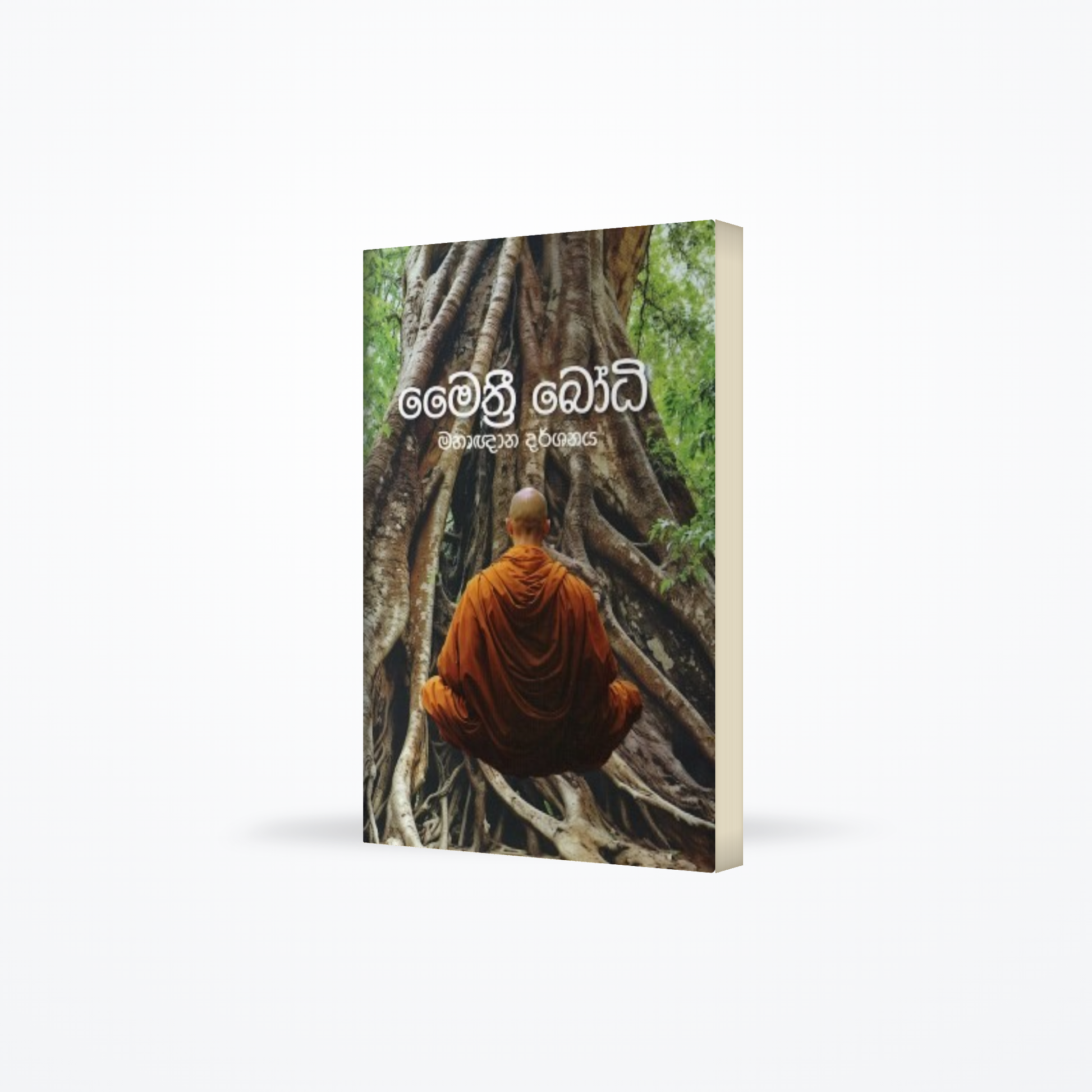 Maithree Bodhi