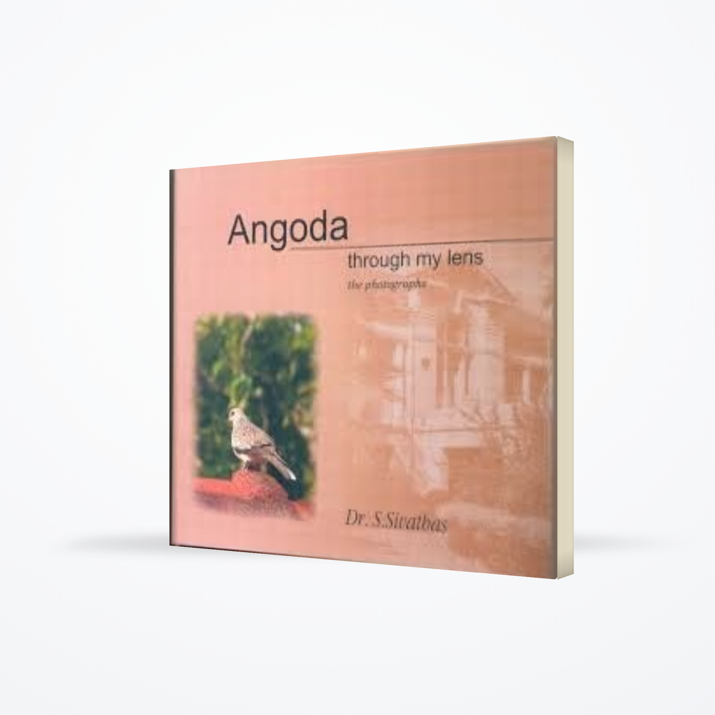 Angoda: Through my Lens