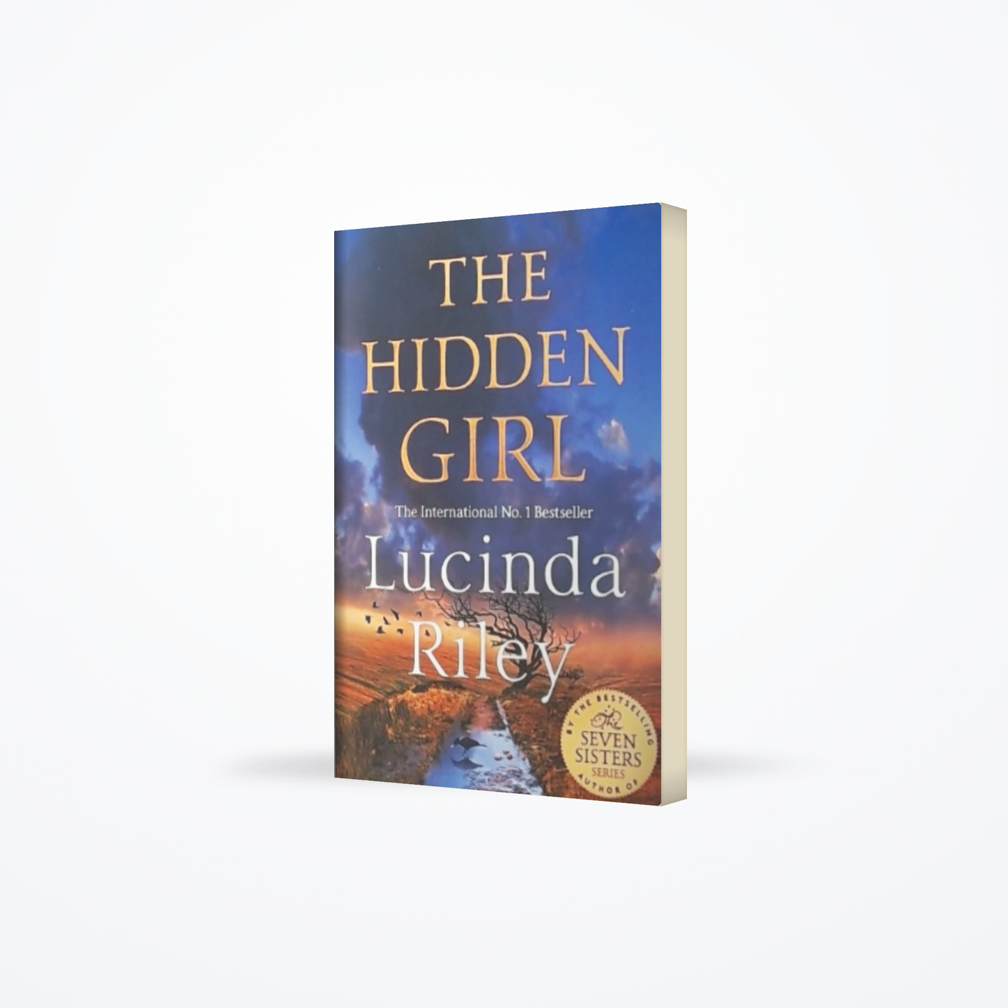 The Hidden Girl