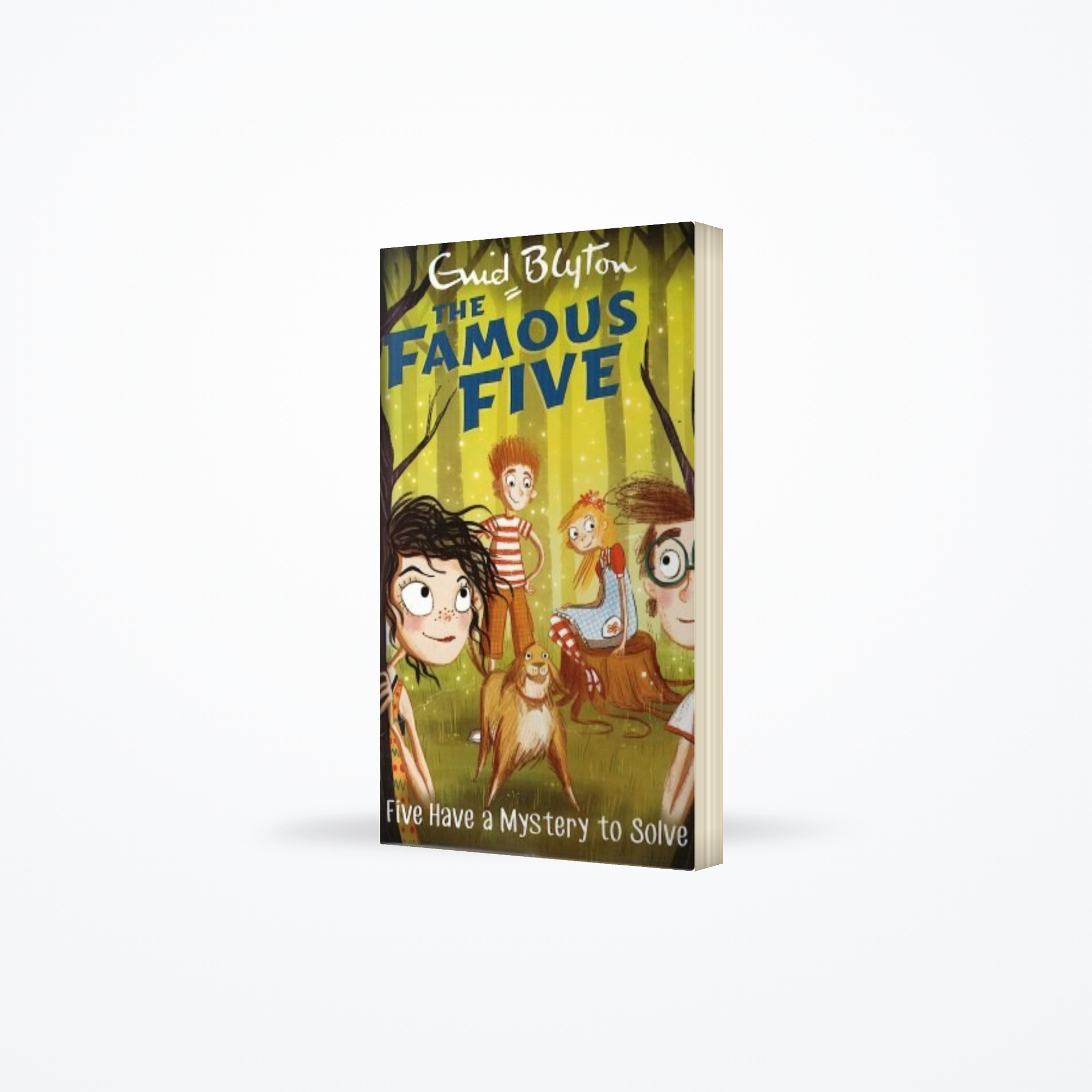 Famous Five : 20  Five Have A Mystery To Solve