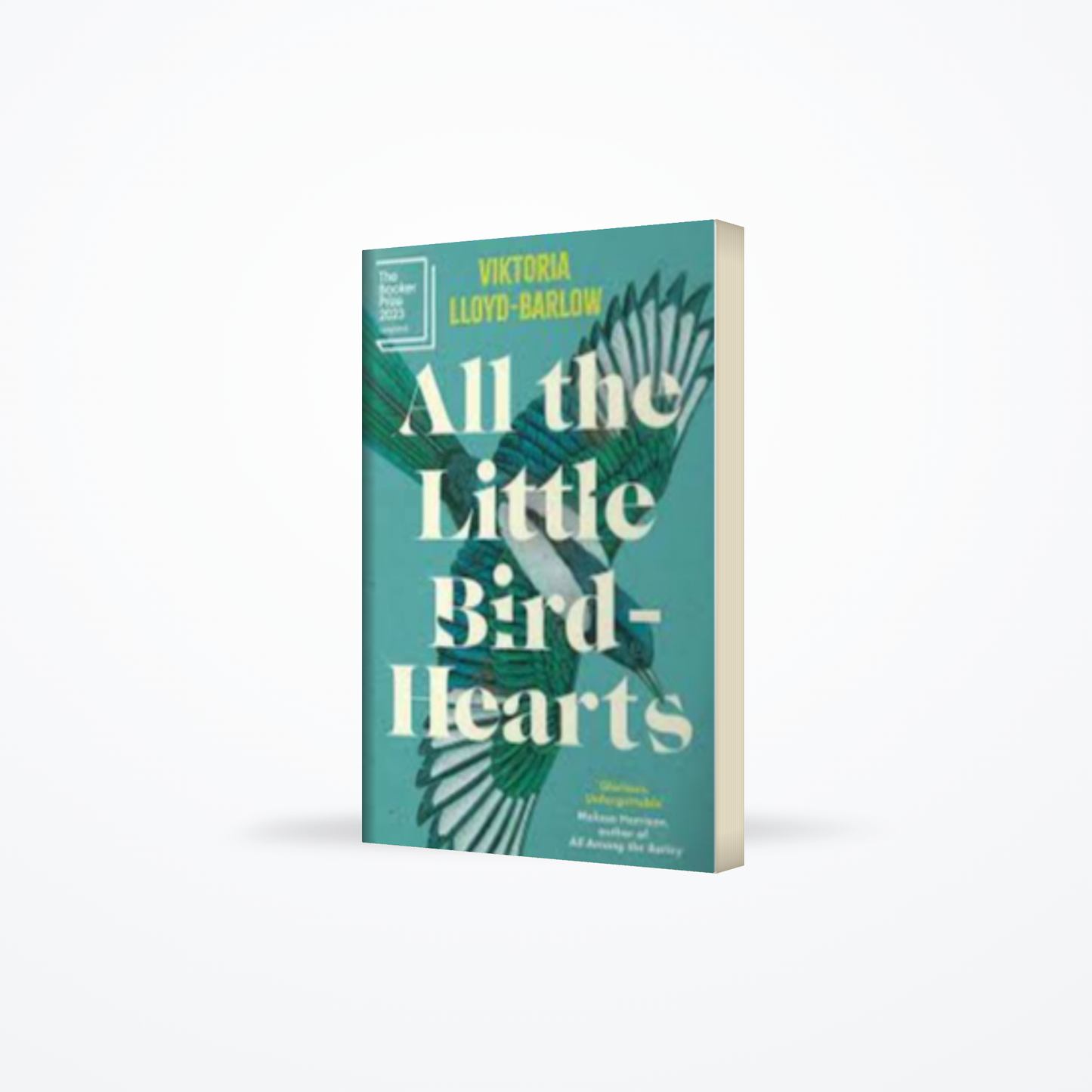 All the Little Bird Hearts Hc