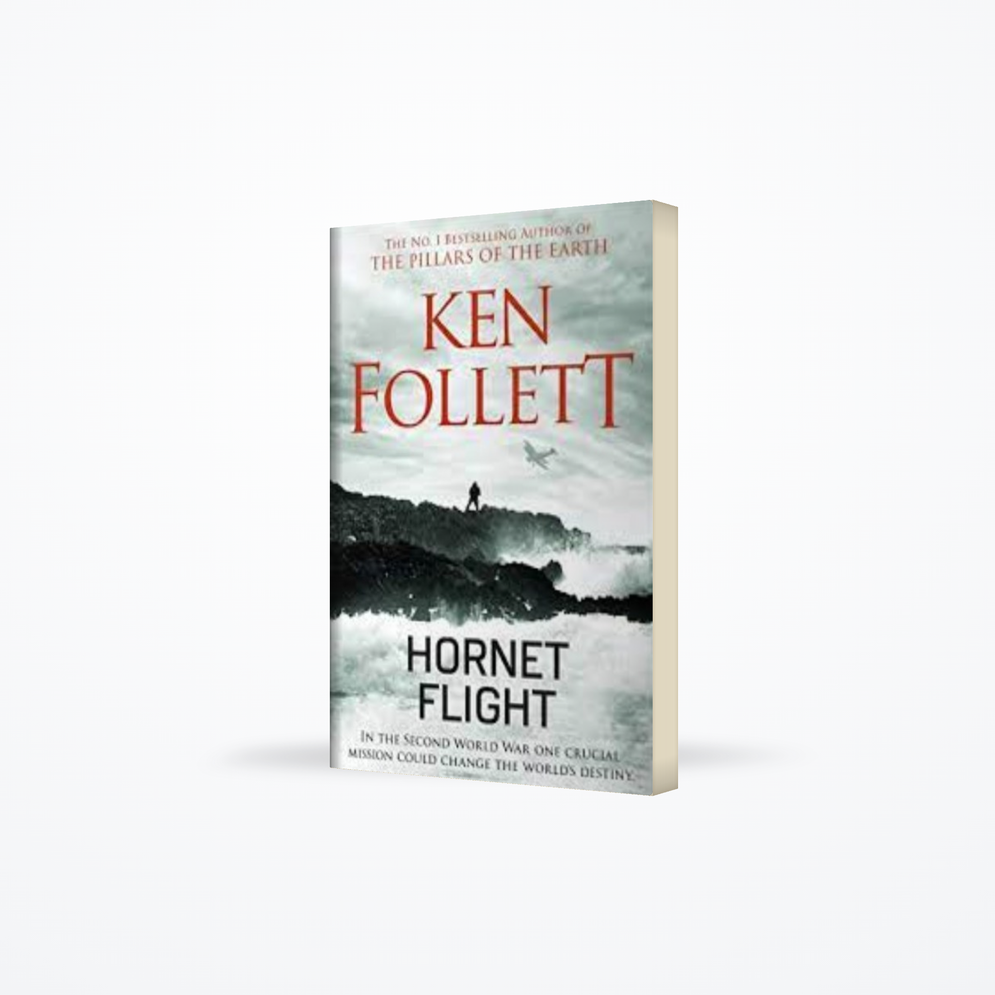 Hornet Flight