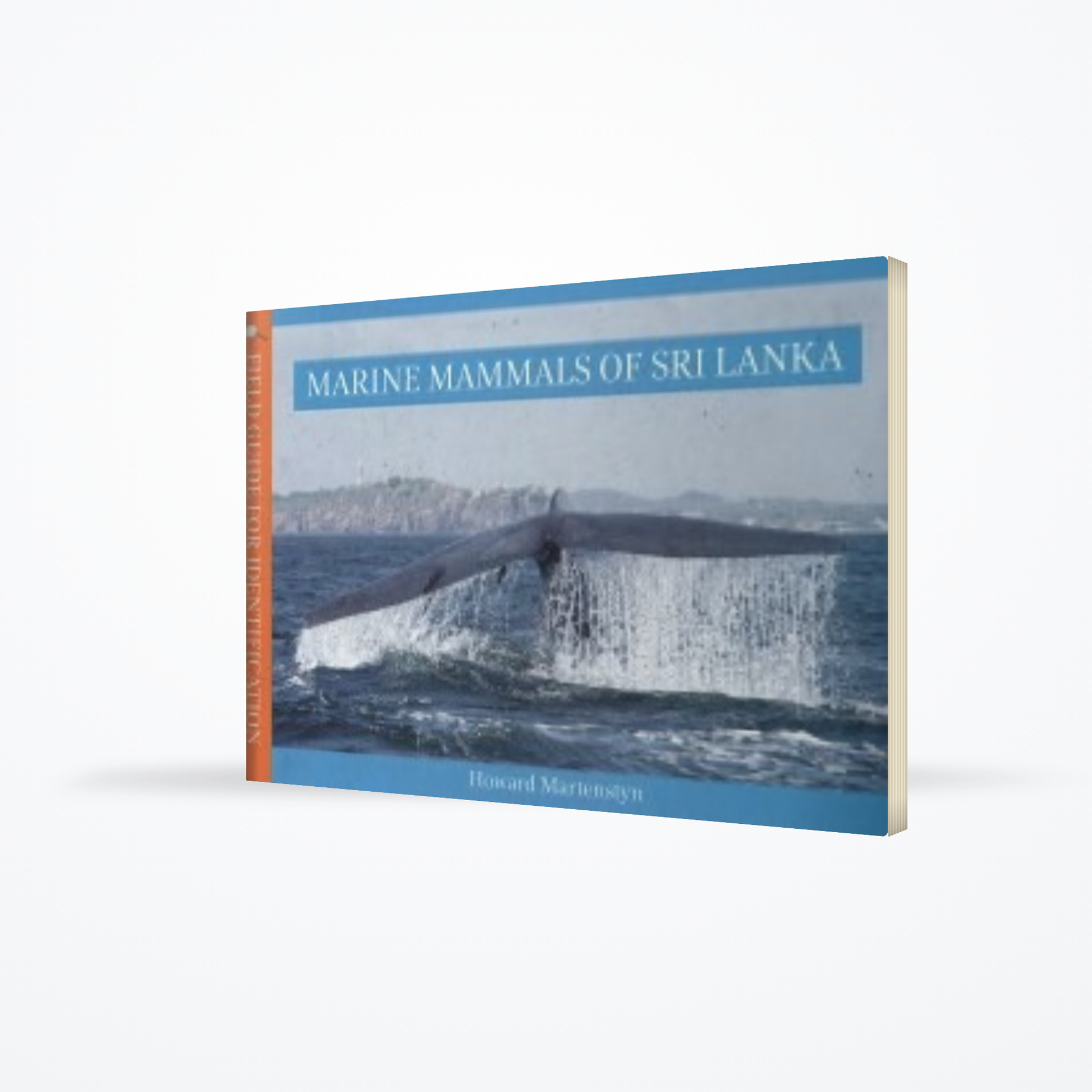 Marine Mammals Of Sri Lanka