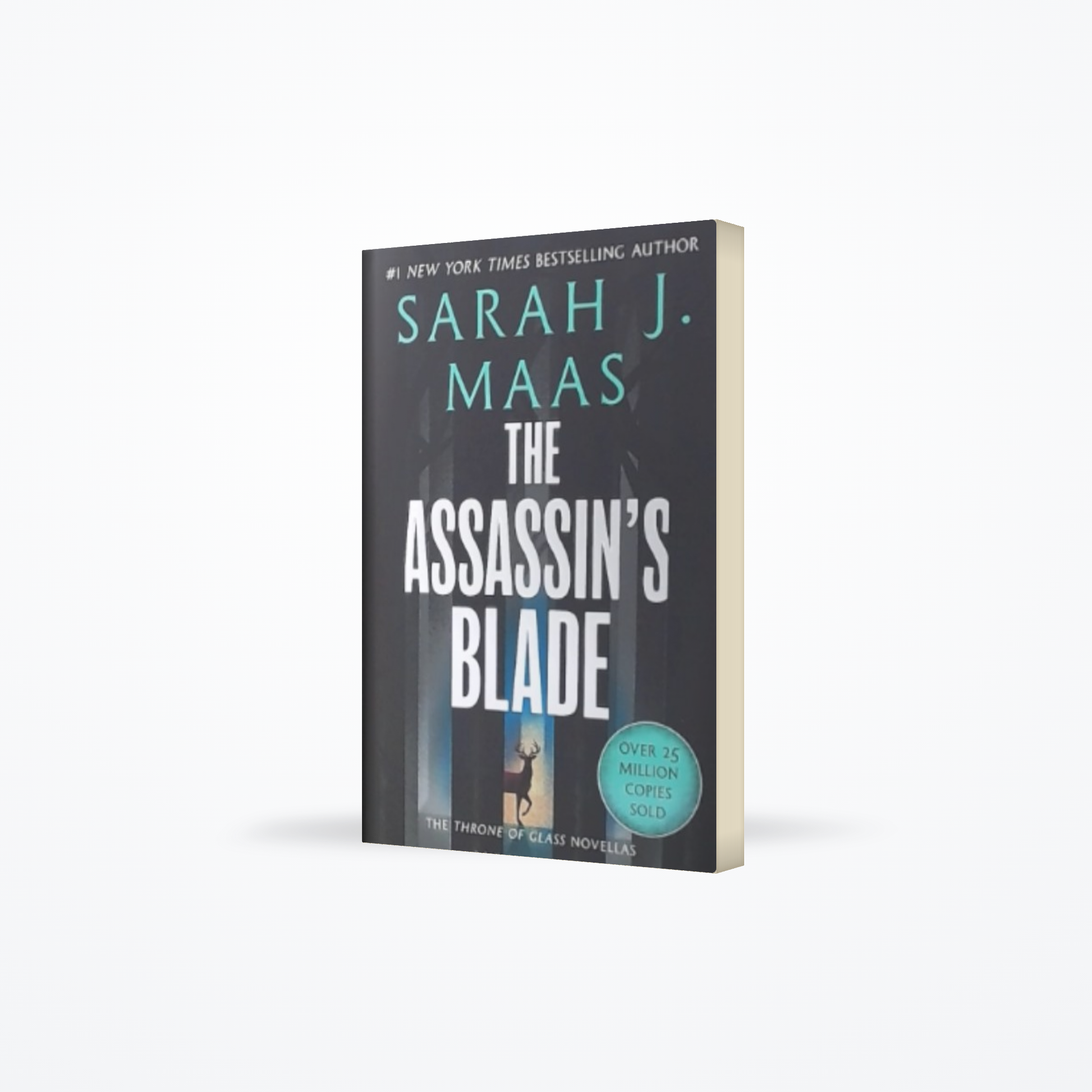The Assassins Blade