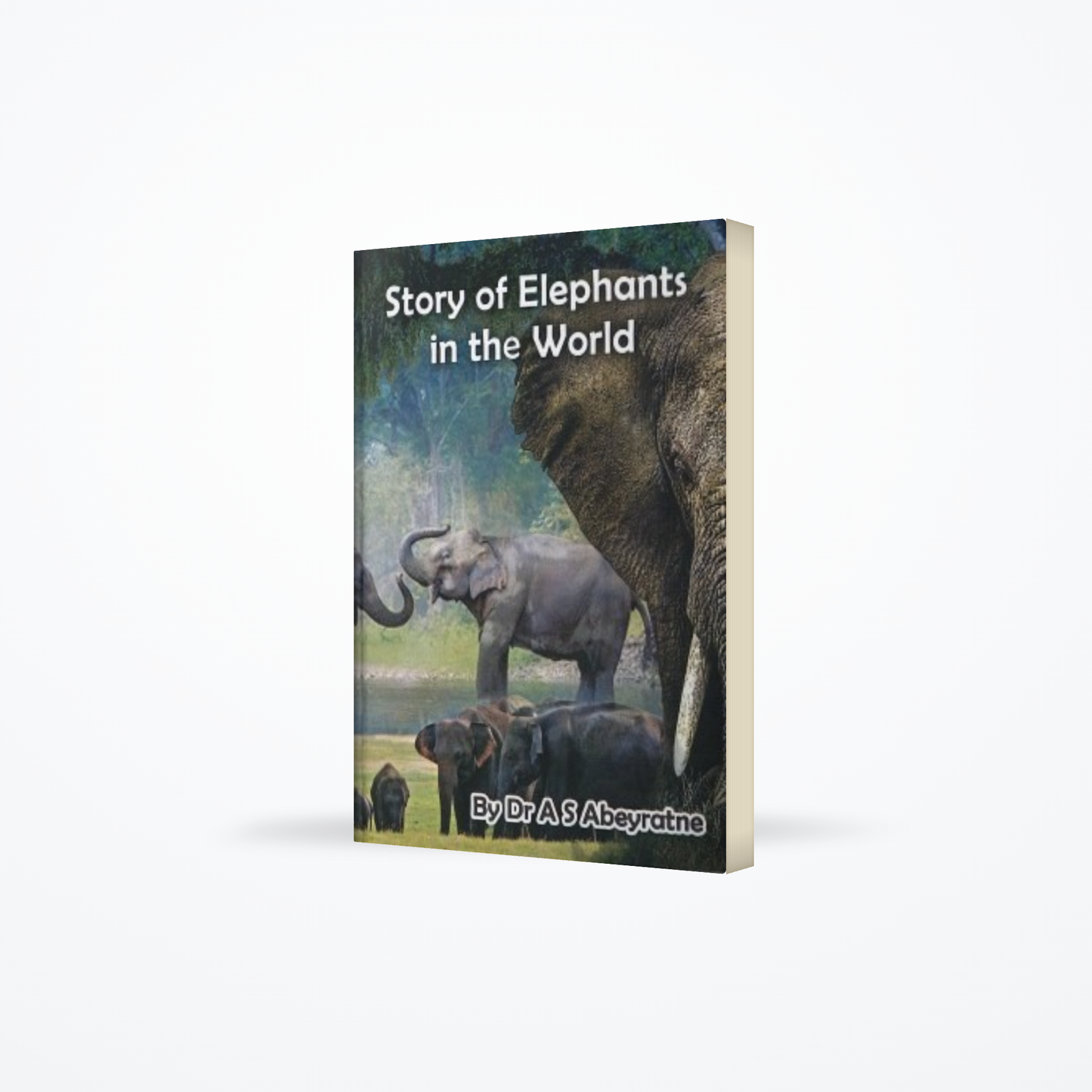 Story of Elephants in the World