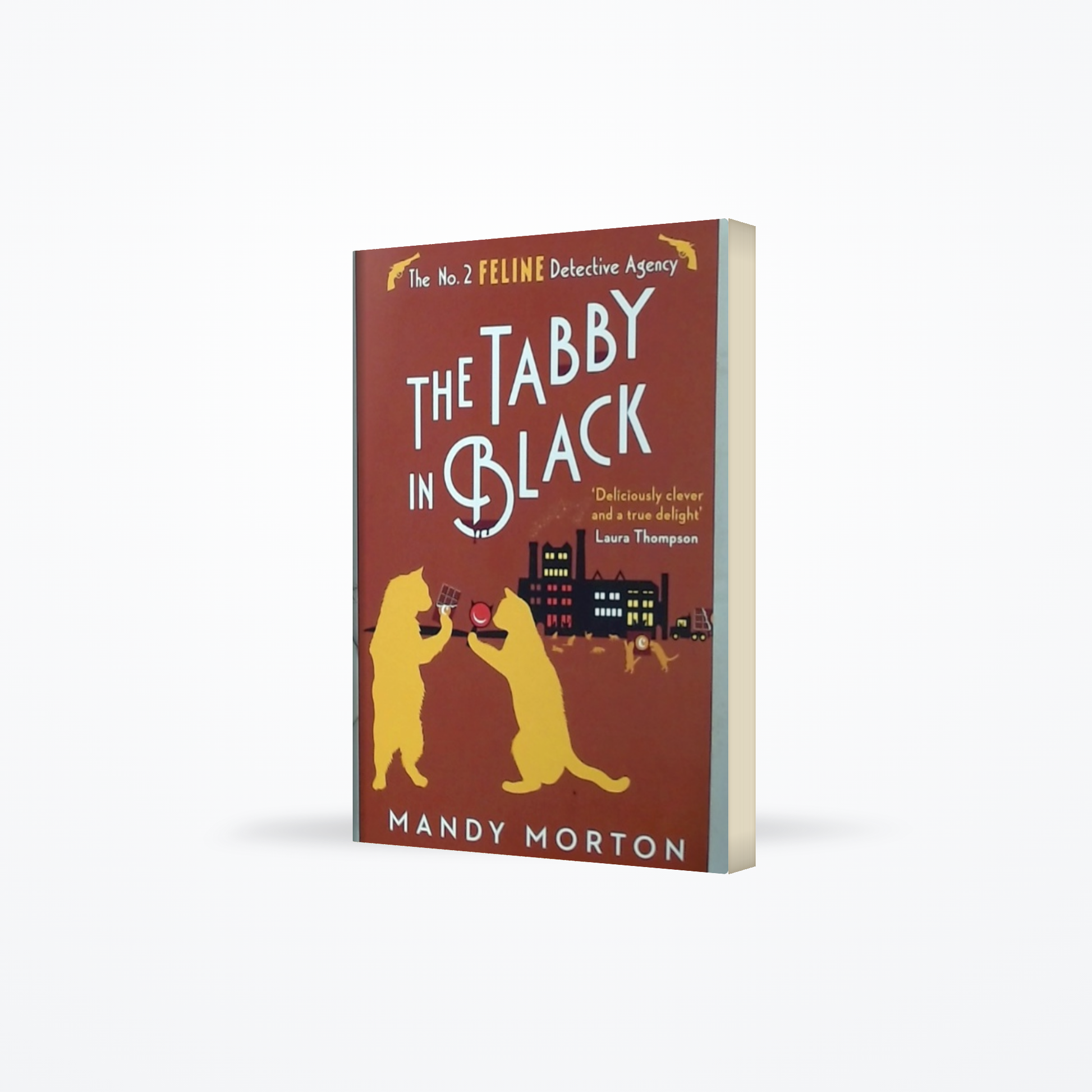 The Tabby in Black