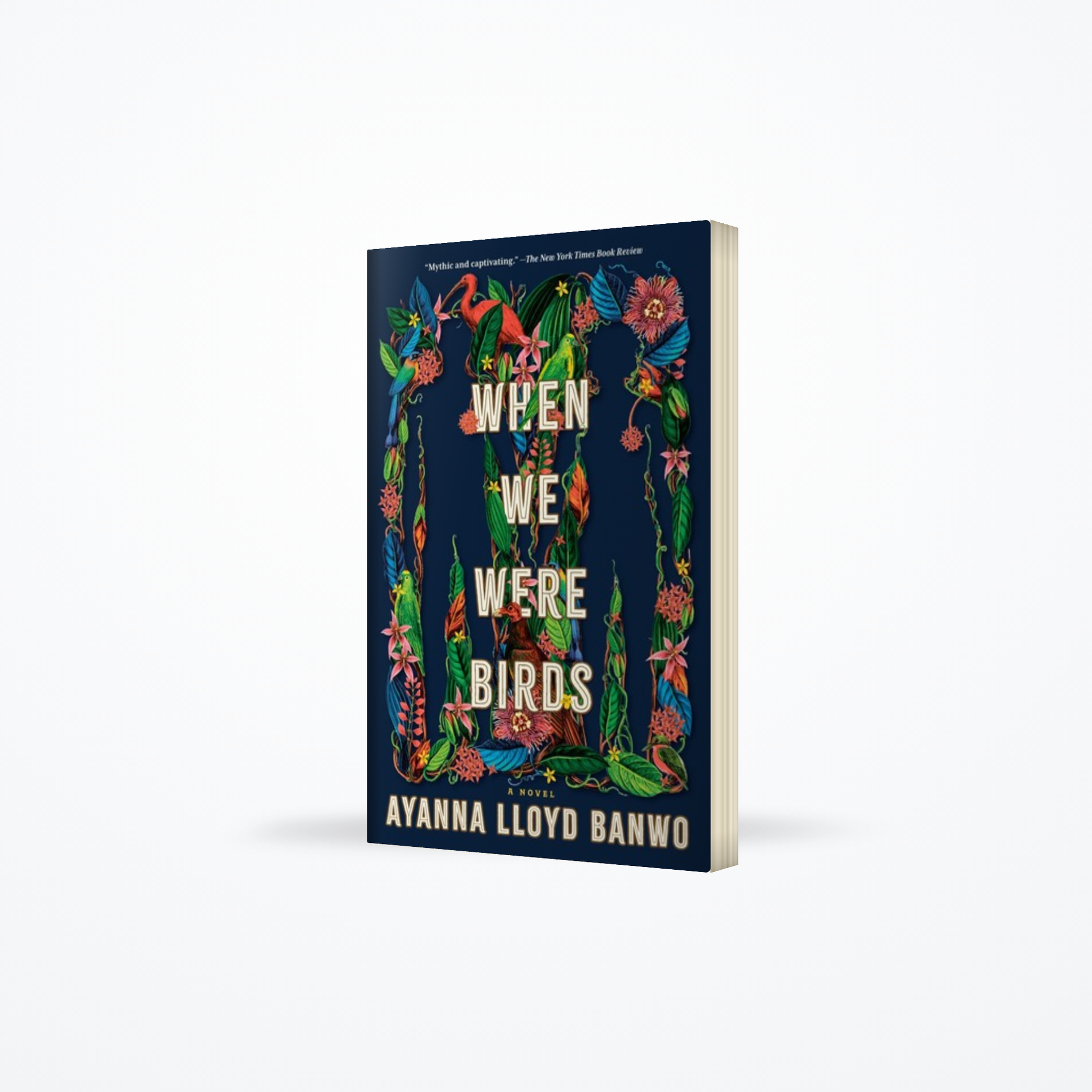 When We Were Birds