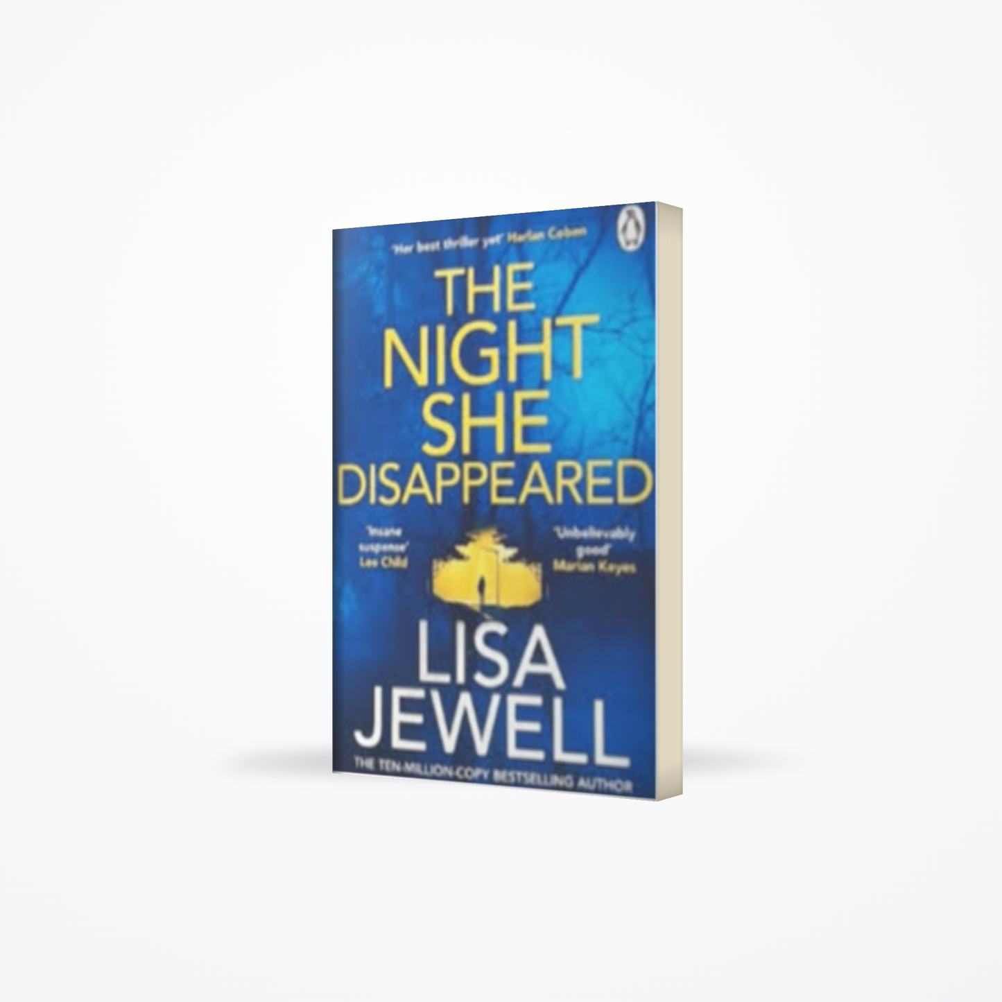 The Night She Disappeared
