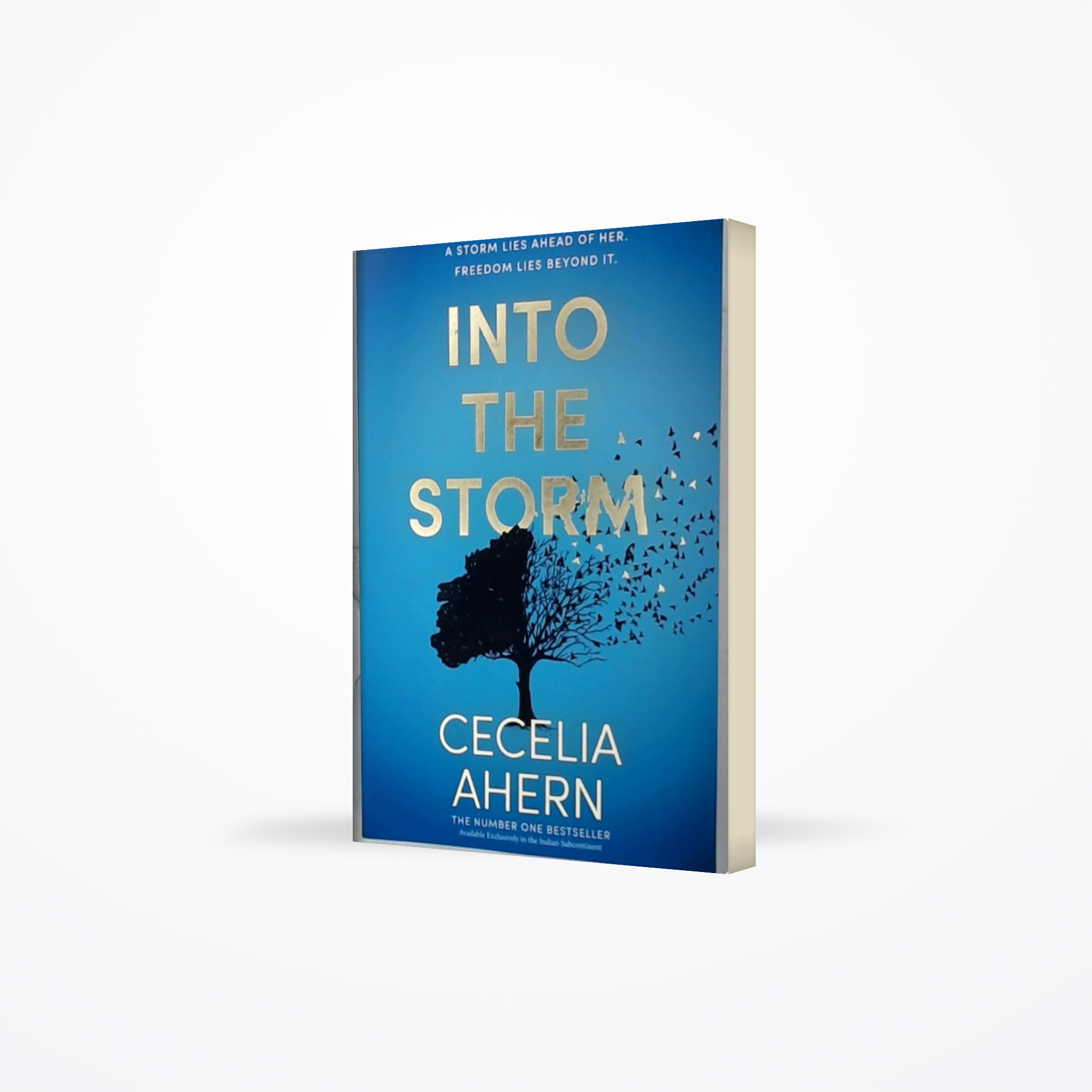 Into the Storm