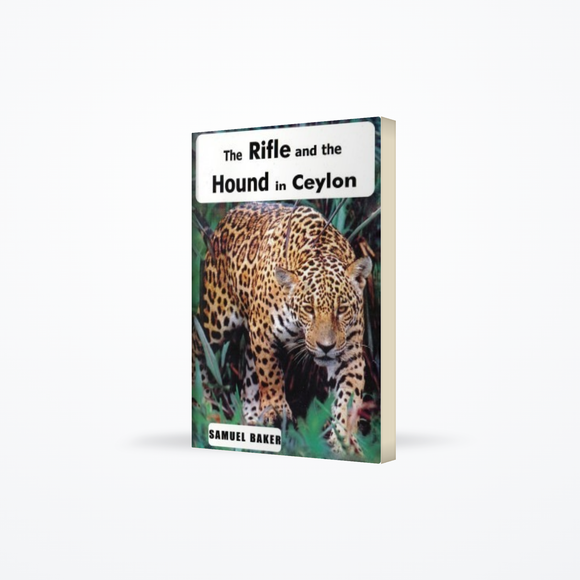 Rifle And The Hound In Ceylon