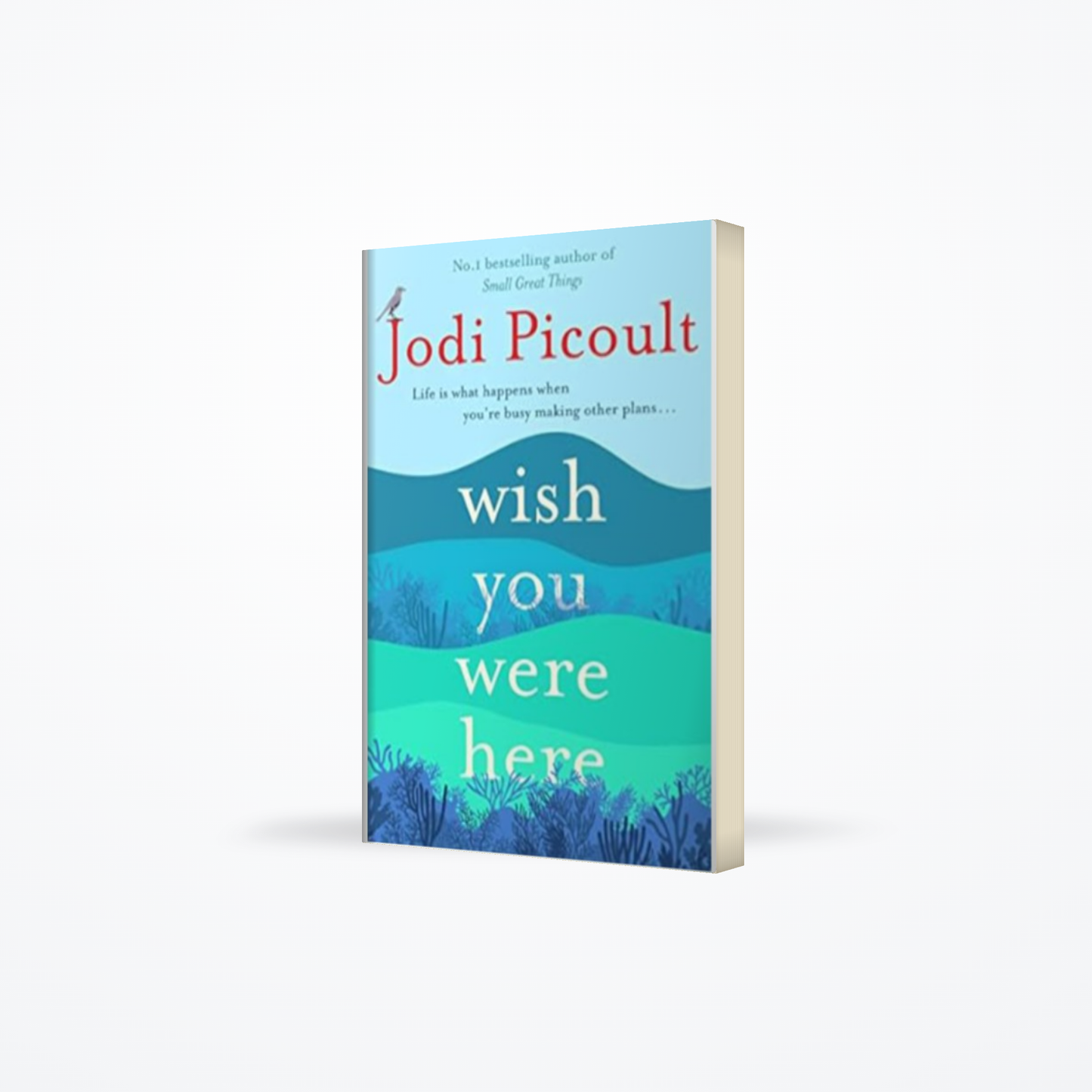 Wish You Were Here