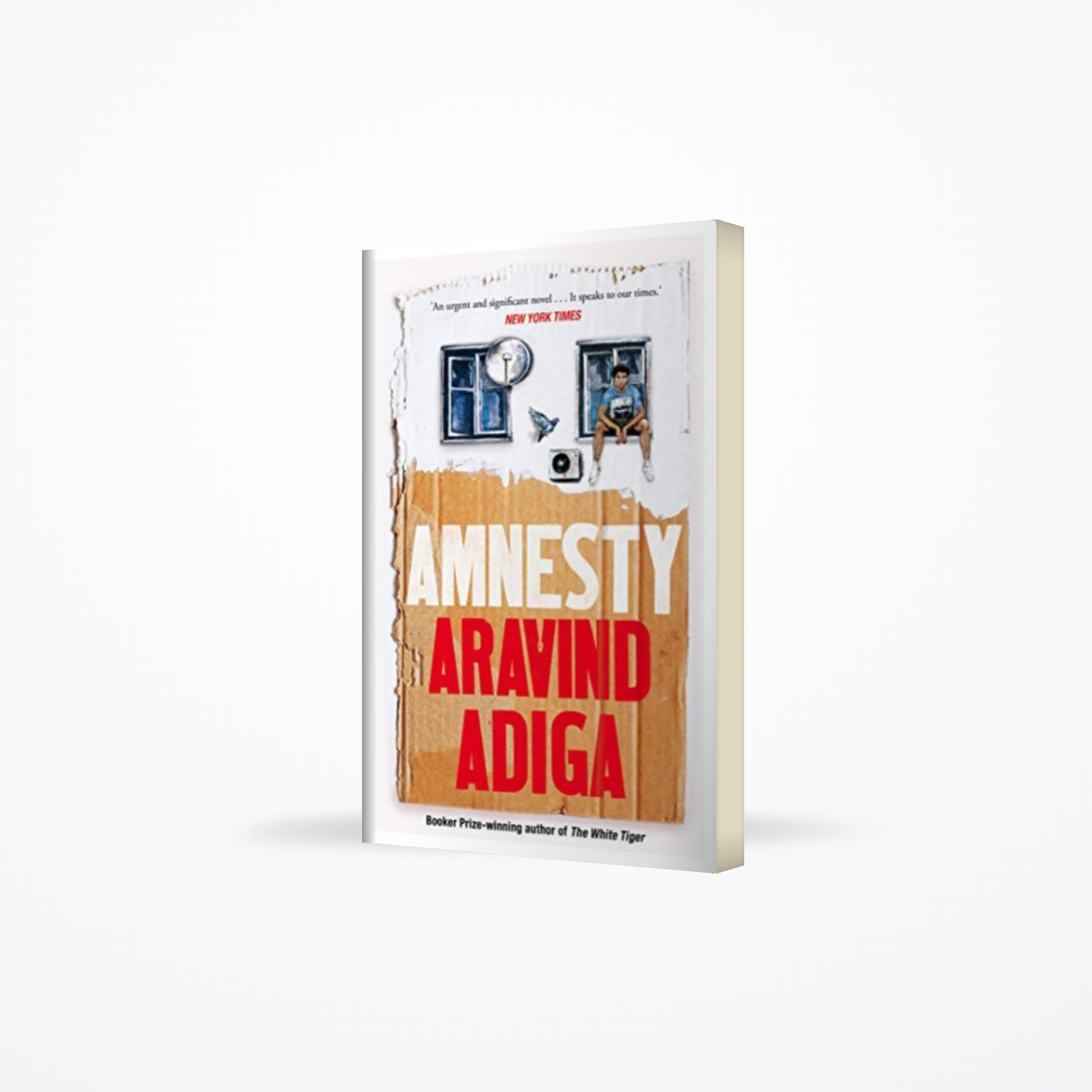 Amnesty