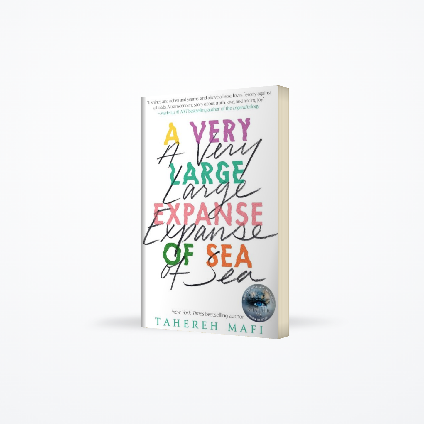 A Very Large Expanse of Sea