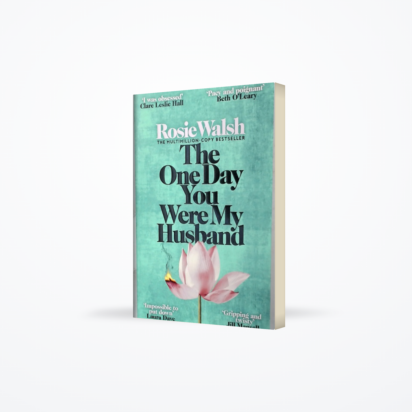 The One Day You Were My Husband