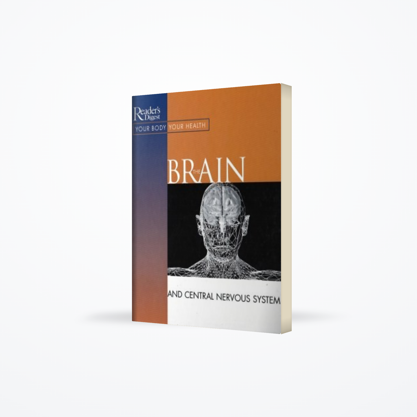 Brain And Central Nervous System
