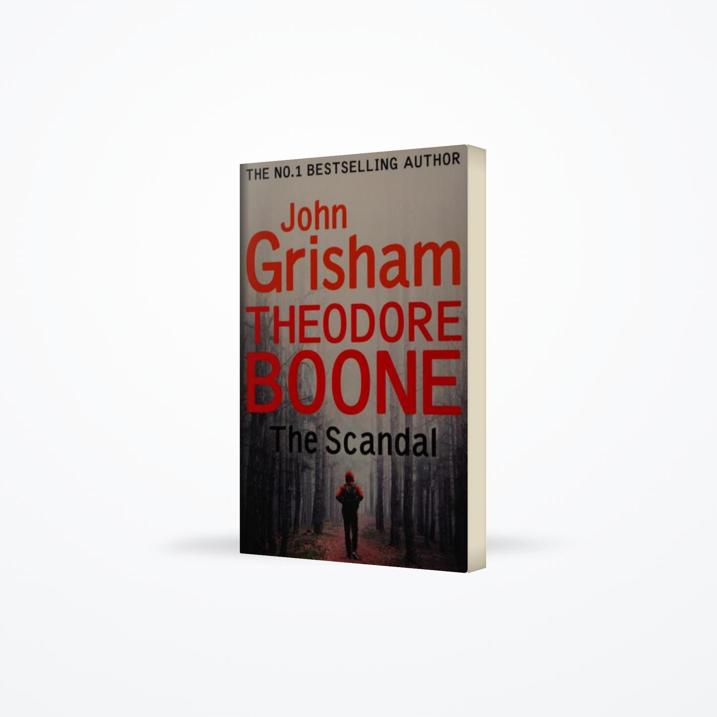 Theodore Boone the Scandal