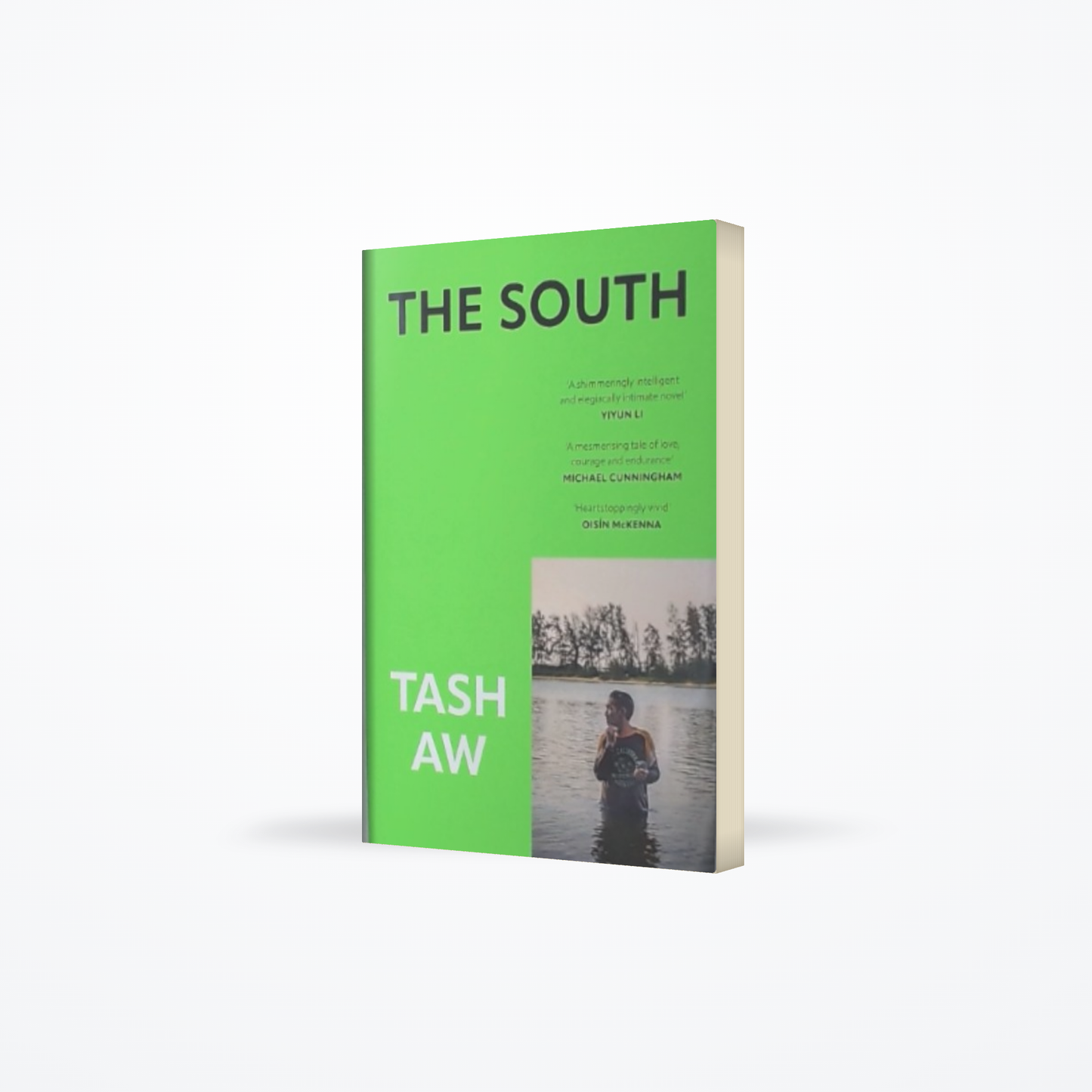 The South