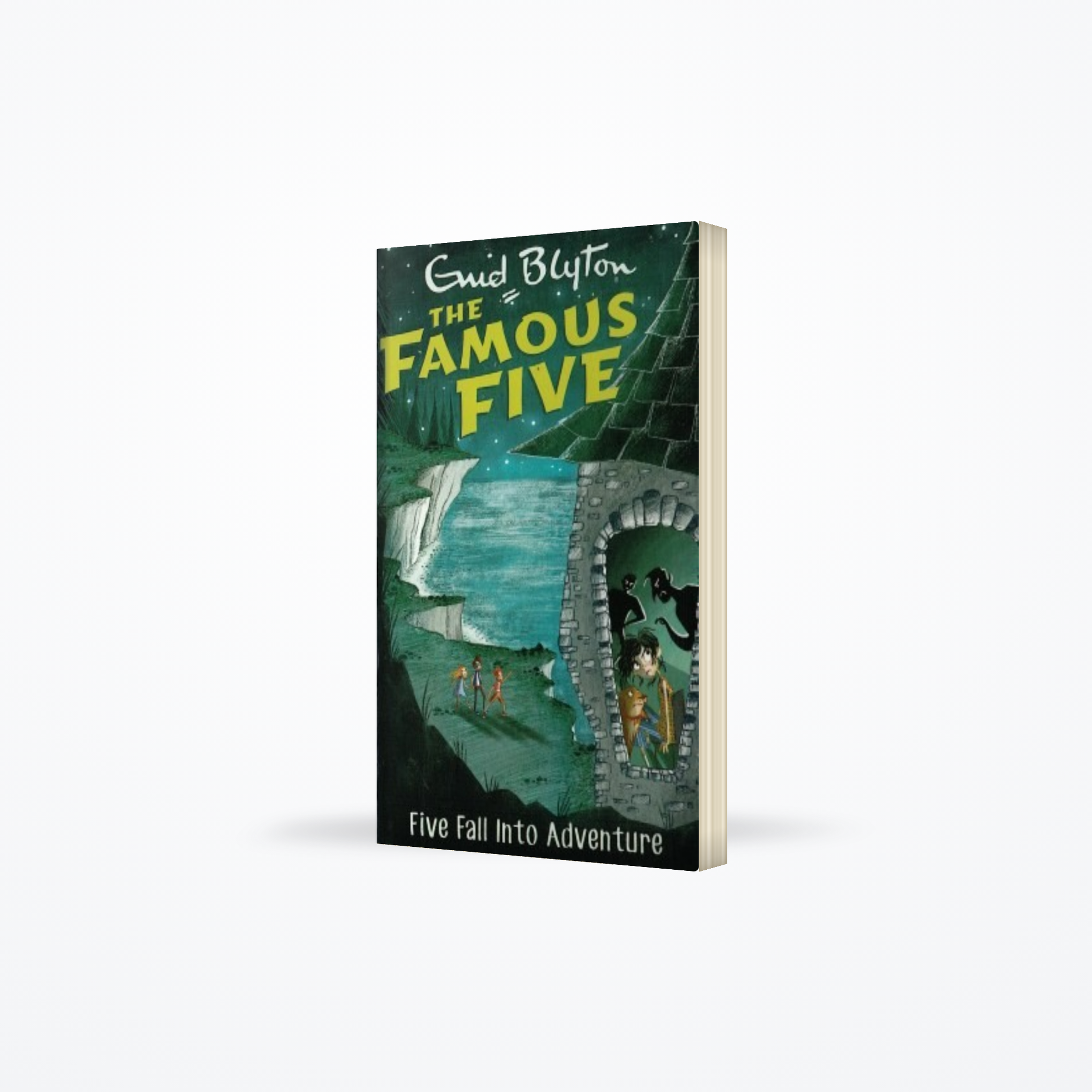 Famous Five : 09 Five Fall Into Adventure